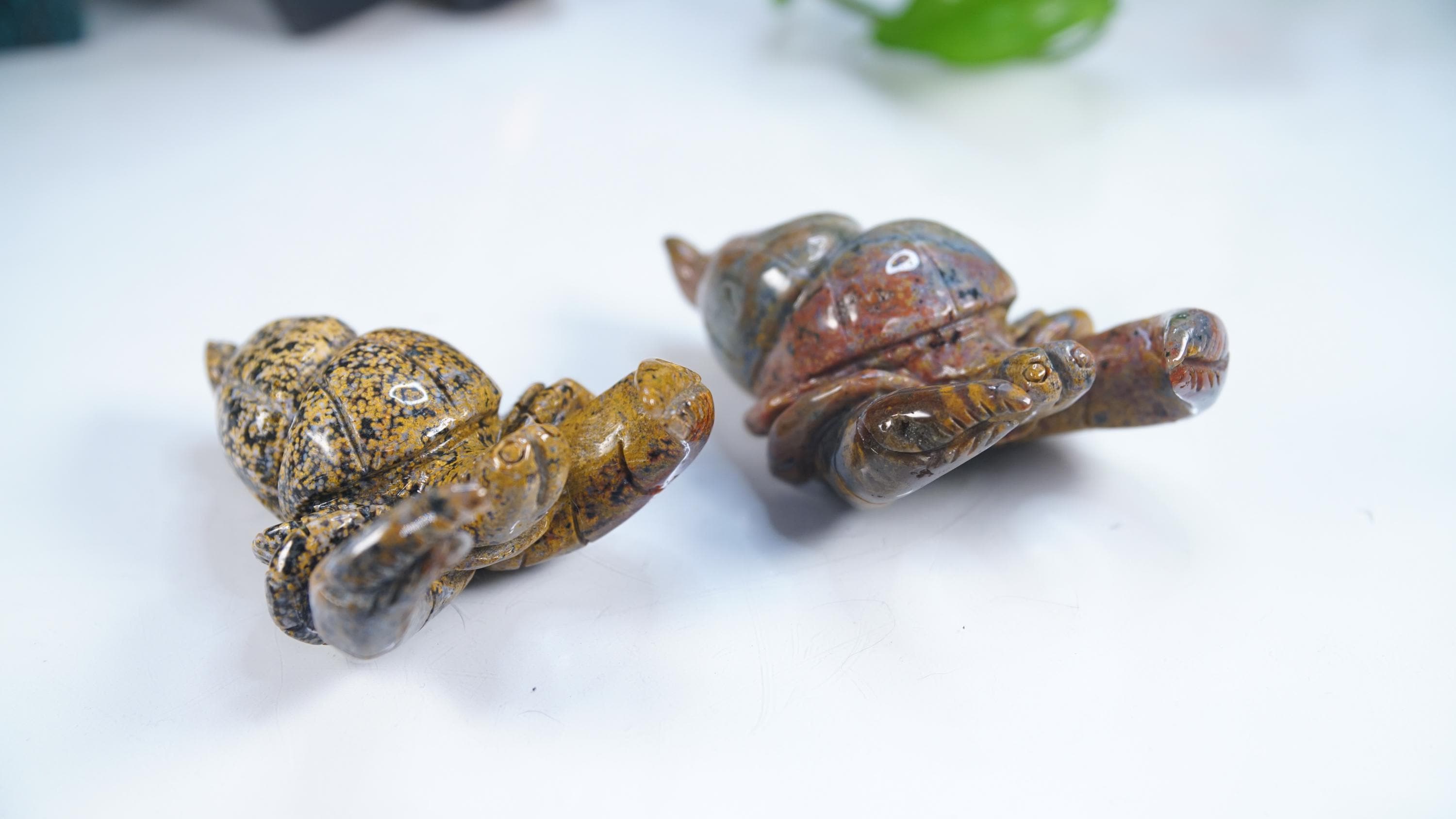 Multi Color Ocean Jasper Hermit Crab Carving | US Seller | Spiritual Meditation Energy Reiki Crystal Quartz Healing Love