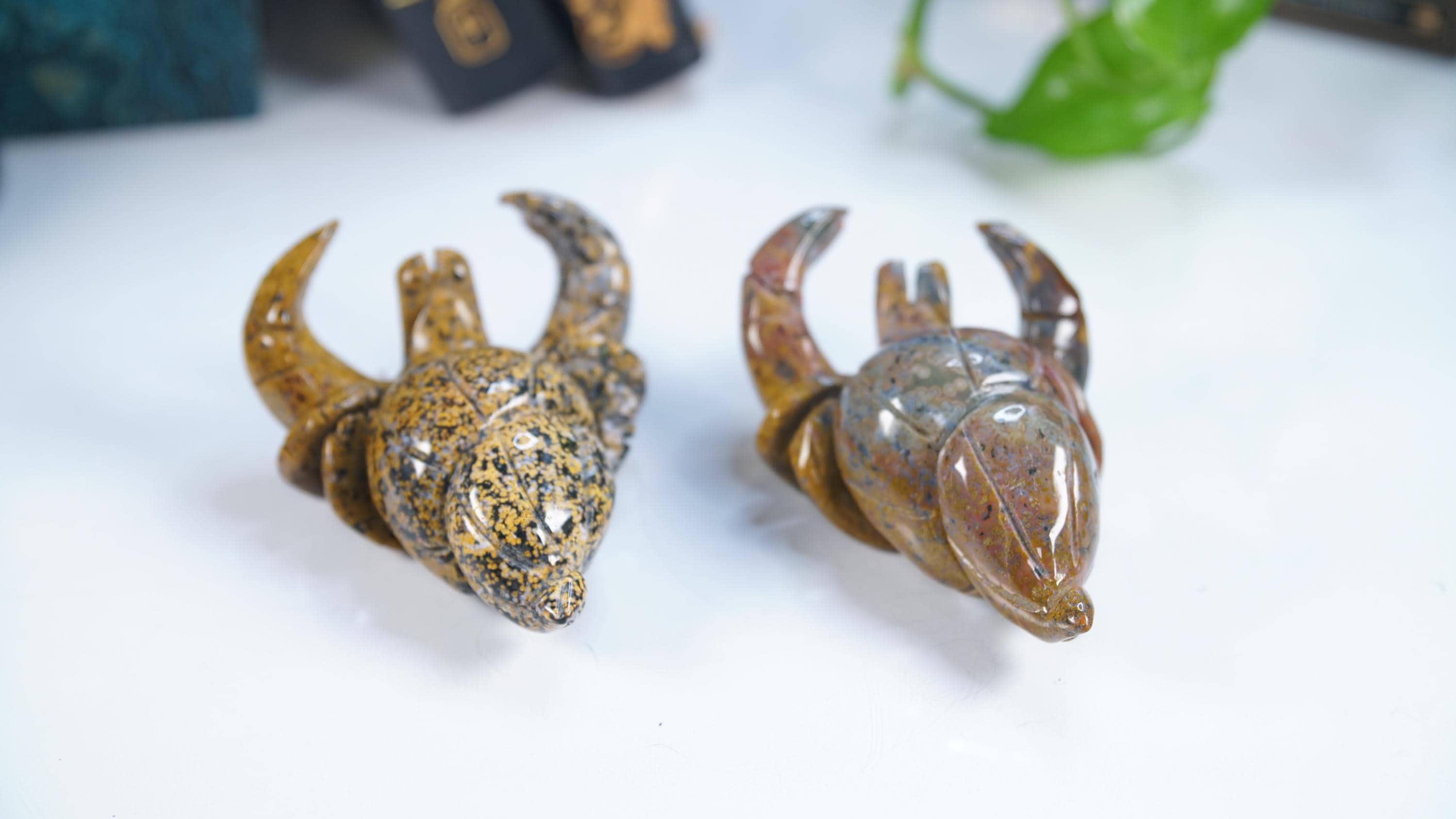 Multi Color Ocean Jasper Hermit Crab Carving | US Seller | Spiritual Meditation Energy Reiki Crystal Quartz Healing Love