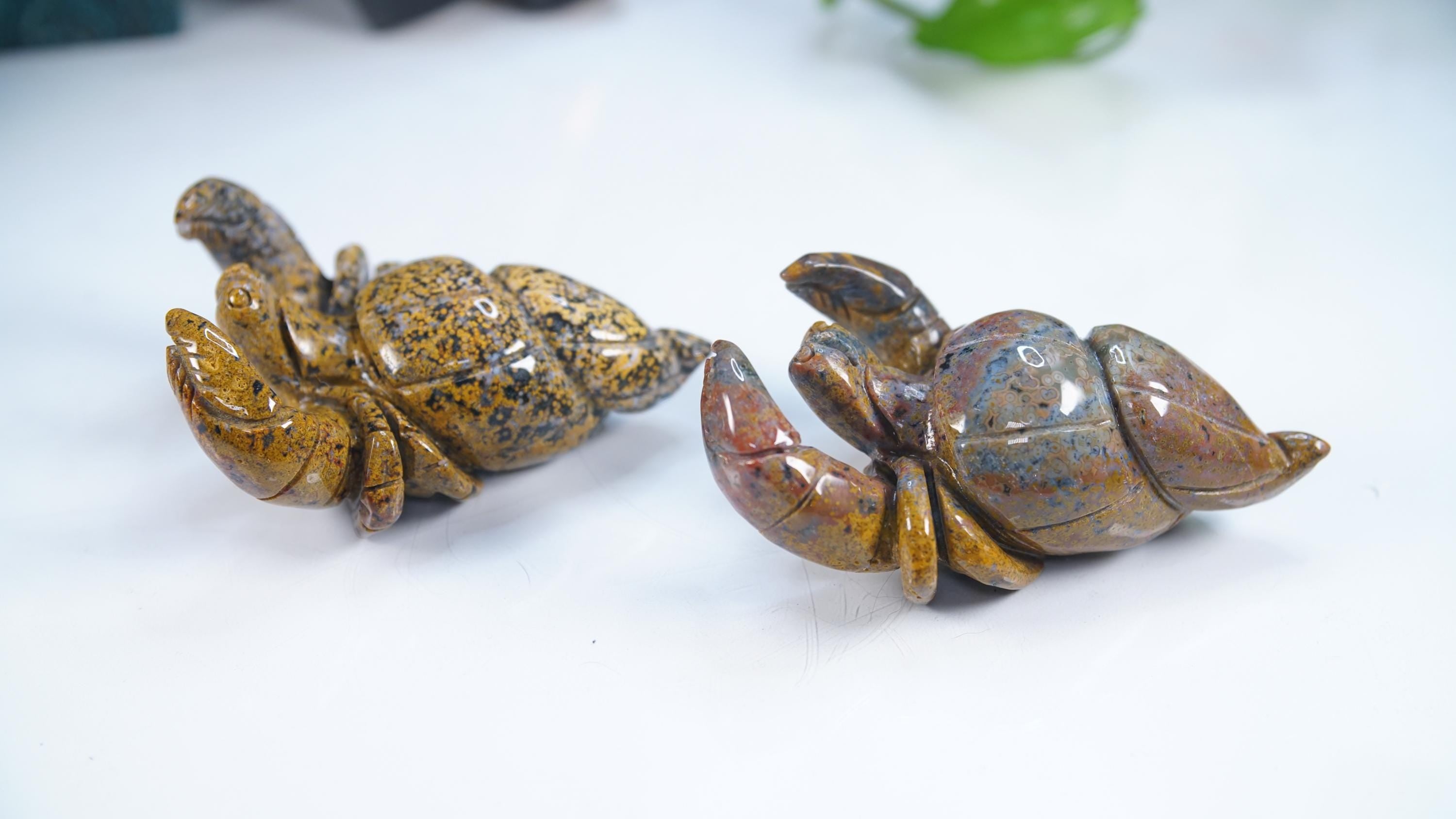 Multi Color Ocean Jasper Hermit Crab Carving | US Seller | Spiritual Meditation Energy Reiki Crystal Quartz Healing Love