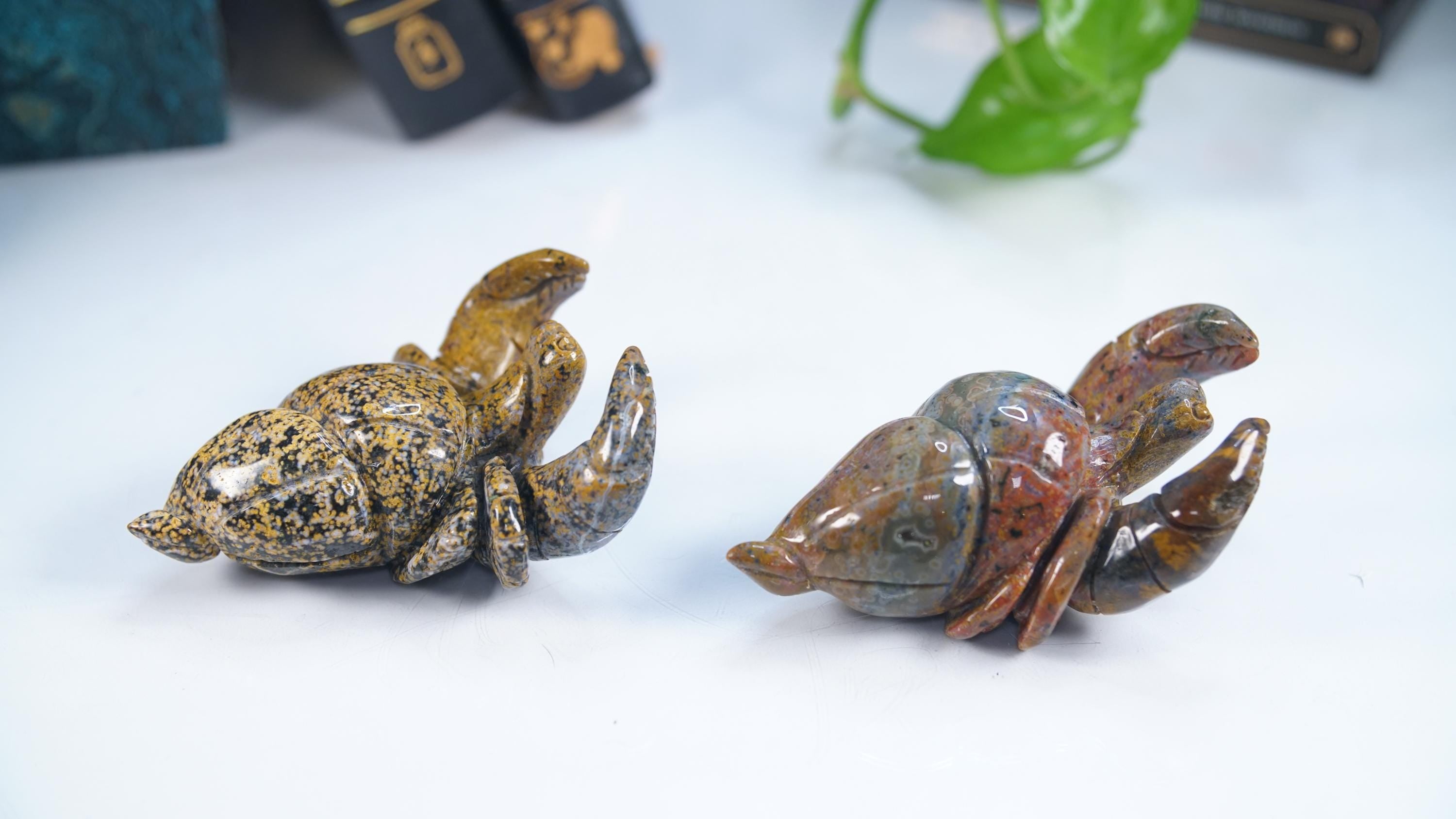 Multi Color Ocean Jasper Hermit Crab Carving | US Seller | Spiritual Meditation Energy Reiki Crystal Quartz Healing Love