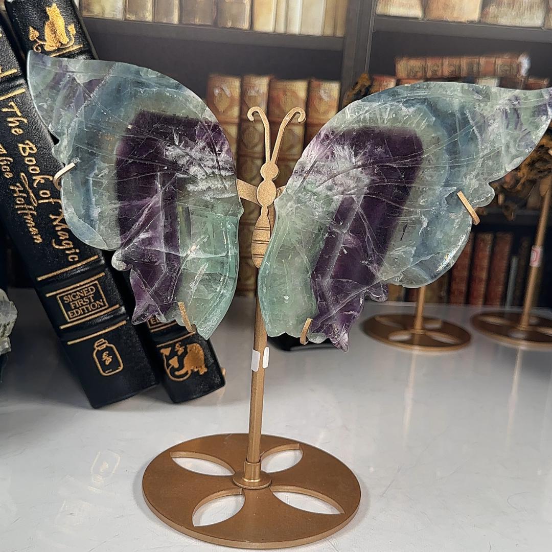Rainbow Feather Fluorite Wings | Crystal Fluorite | Cleansing Chakras Altar Stability Concentration Healing Reiki Energy