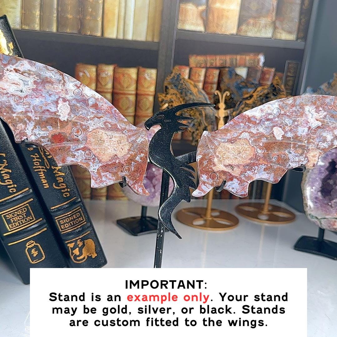 Mexican Lace Agate Wings | US Seller | Metaphysical Shop Healing Concentration Trauma Energy Altar
