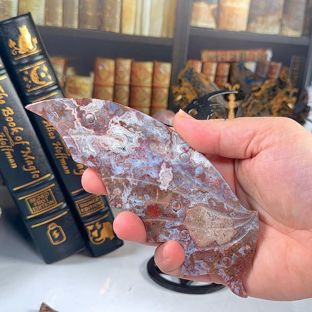 Mexican Lace Agate Wings | US Seller | Metaphysical Shop Healing Concentration Trauma Energy Altar