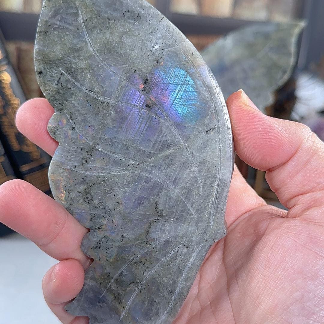 Large Flashy Purple Labradorite Wings | Chakra Healing Reiki Stone | Perfect for Meditation