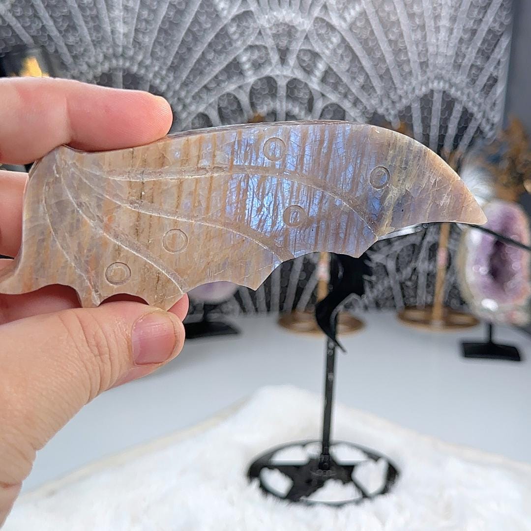 Flashy Blue Moonstone Dragon Wings Sunstone | US Seller | Chakra Healing, Reiki Healing Altar Balance Intuition