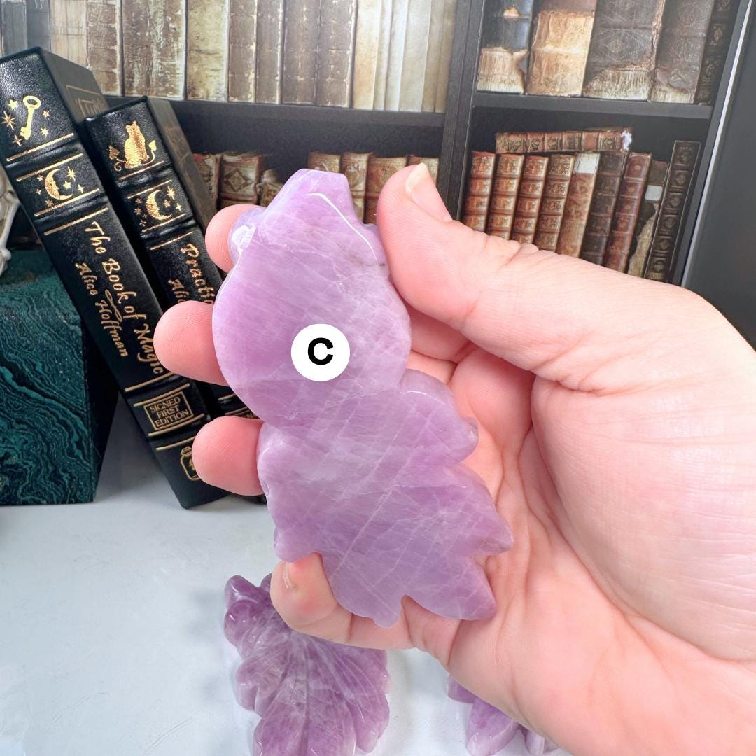 Kunzite Goldfish Carving Koi Fish | US Seller | Healing Crystal Energy Reiki Altar