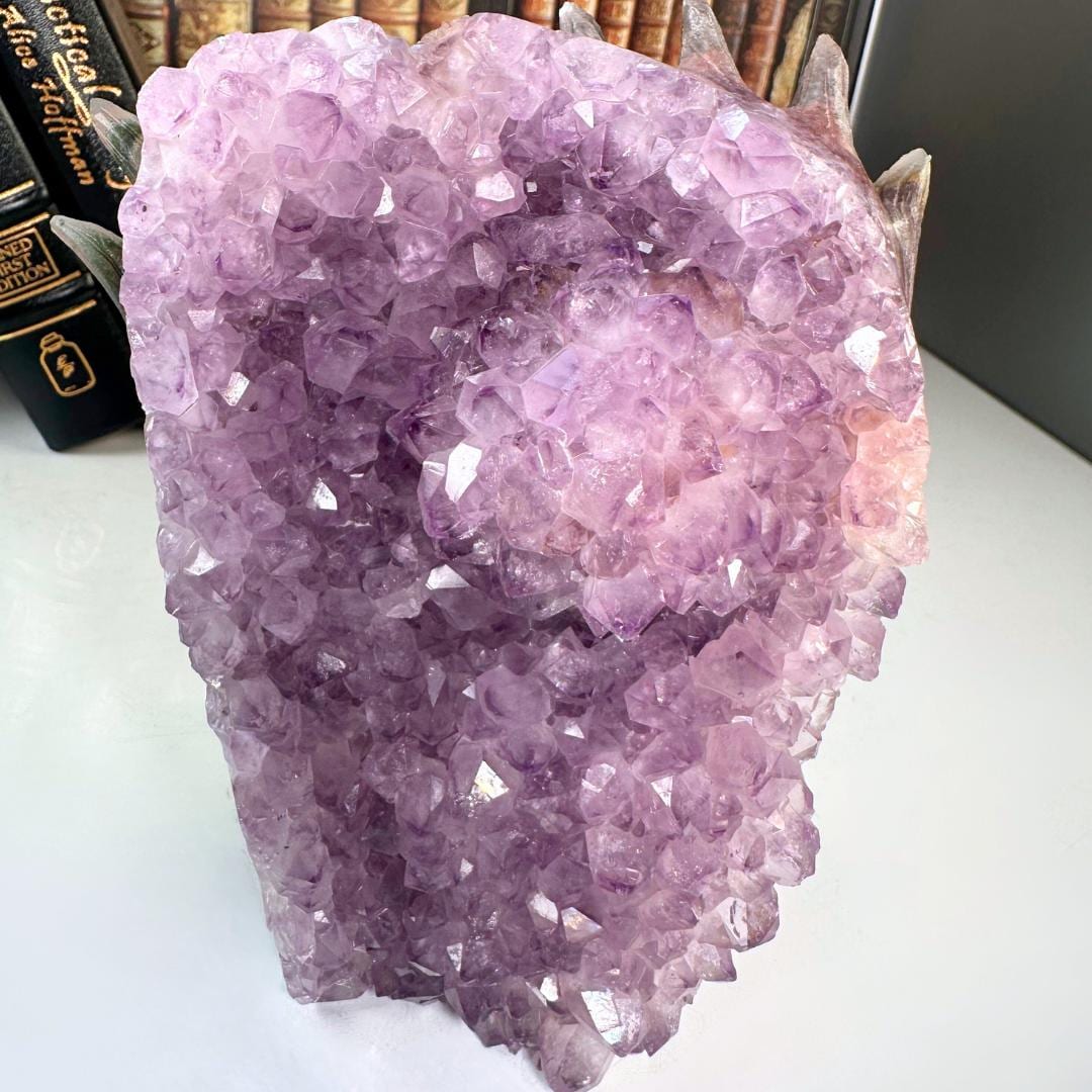 XL Druzy Agate Fox Crystal Carving Geode Statement Piece