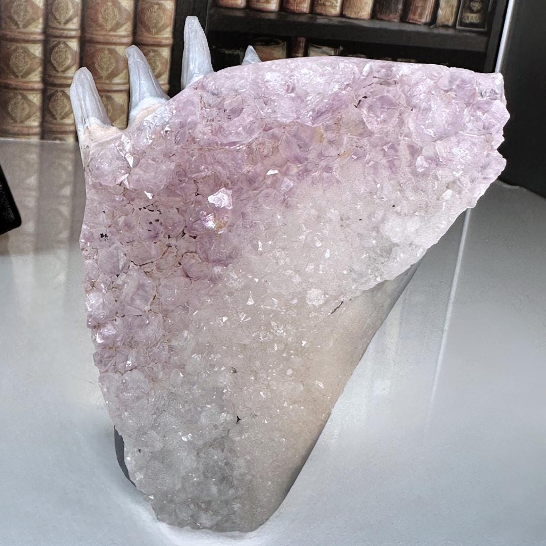 Druzy Agate Amethyst Fox Crystal Carving Geode Statement Piece
