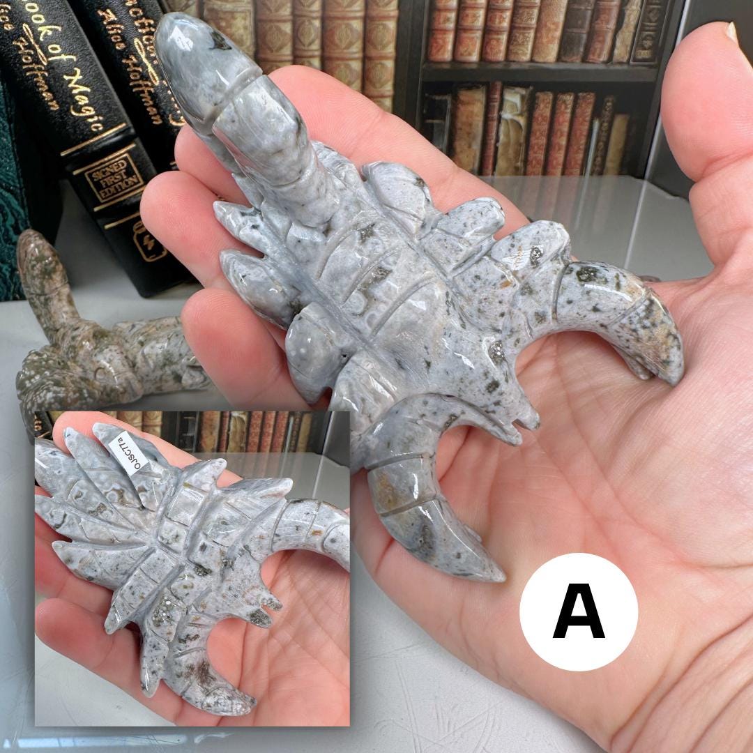 Multi Color Ocean Jasper Scorpion Carving | US Seller | Spiritual Meditation Energy Reiki Crystal Quartz Healing Love