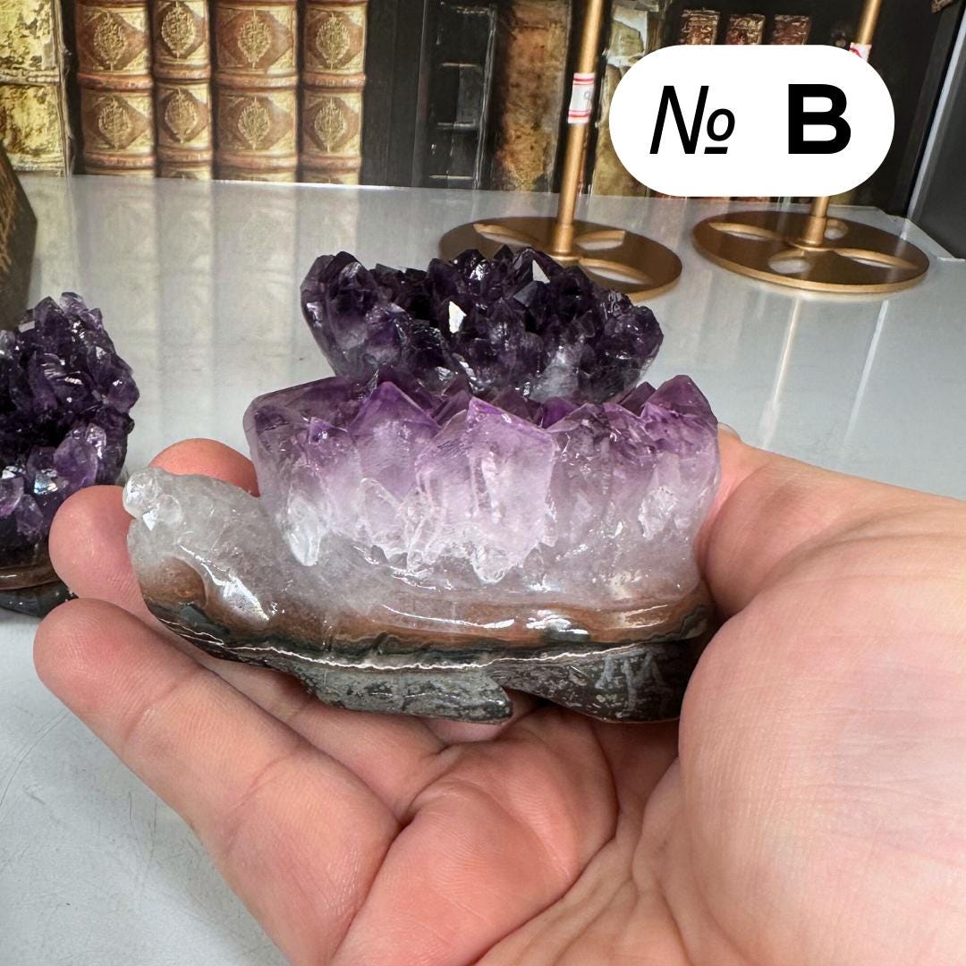 Druzy Agate Amethyst Turtle Crystal Carving Geode Statement Piece