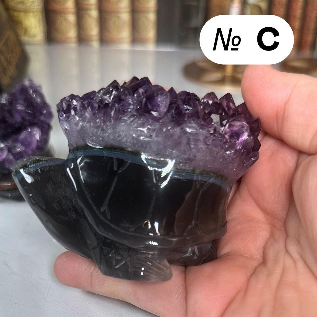Druzy Agate Amethyst Turtle Crystal Carving Geode Statement Piece