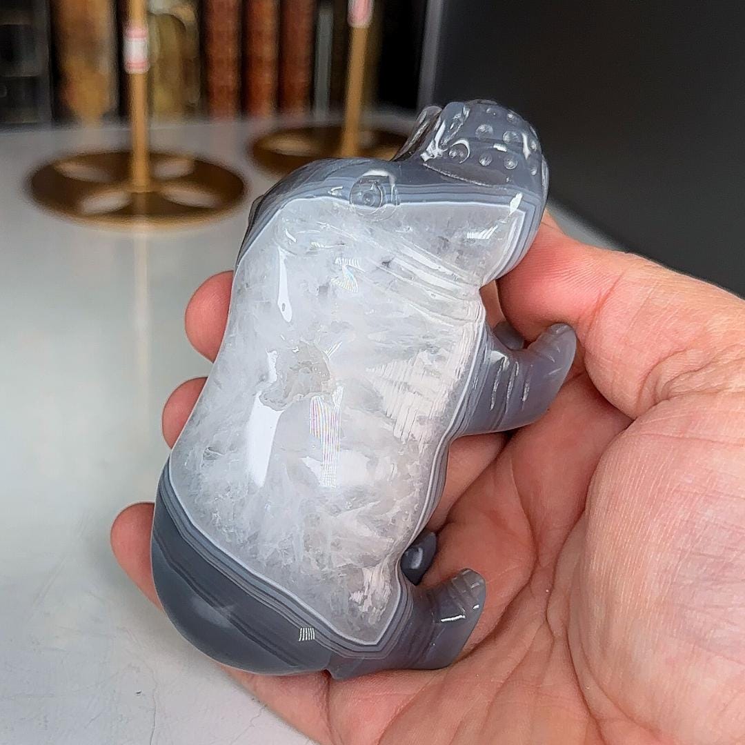 Druzy Agate Hippo Carving | US Seller | Home Decor Energy Healing Feng Shui Altar Reiki Office Gift