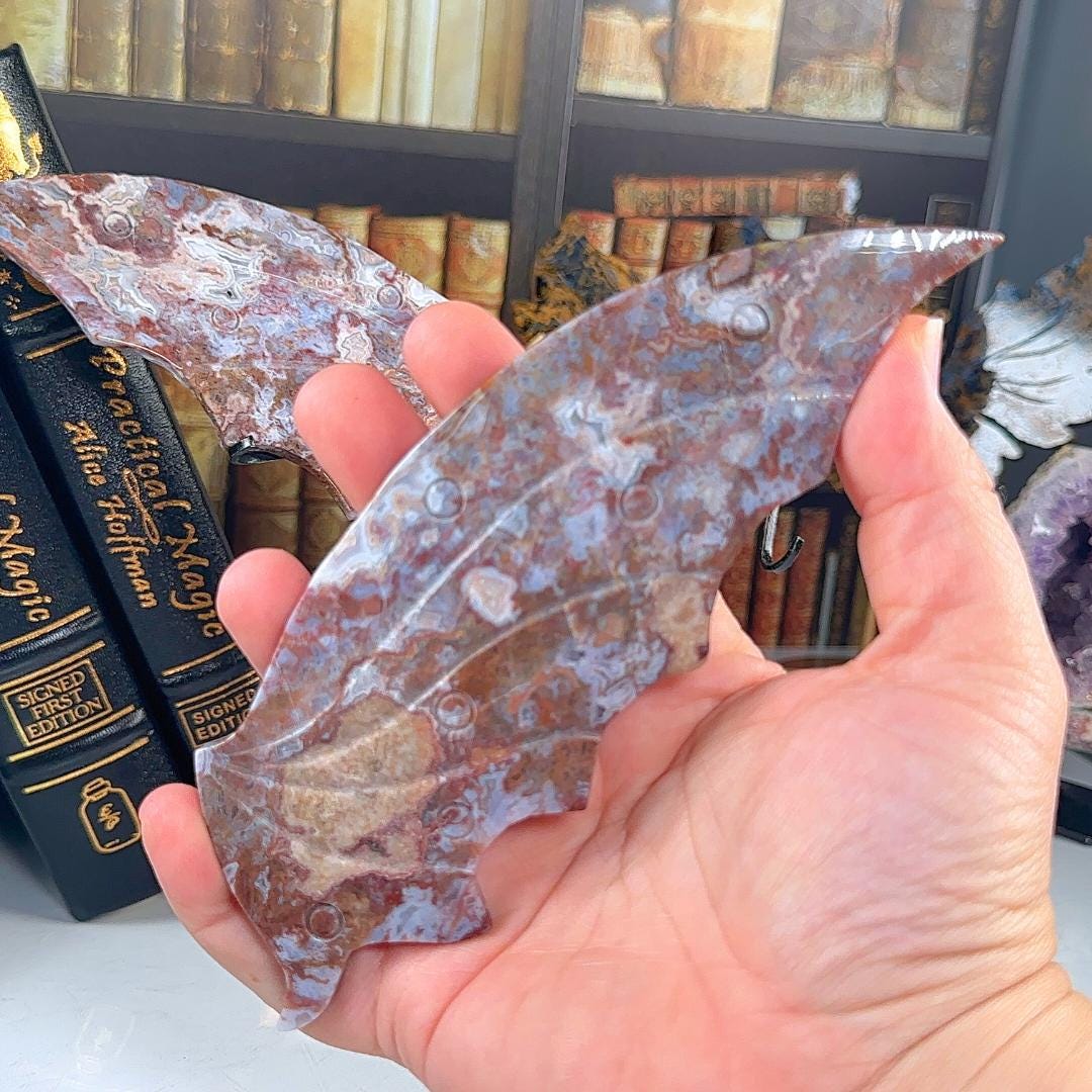 Mexican Lace Agate Wings | US Seller | Metaphysical Shop Healing Concentration Trauma Energy Altar