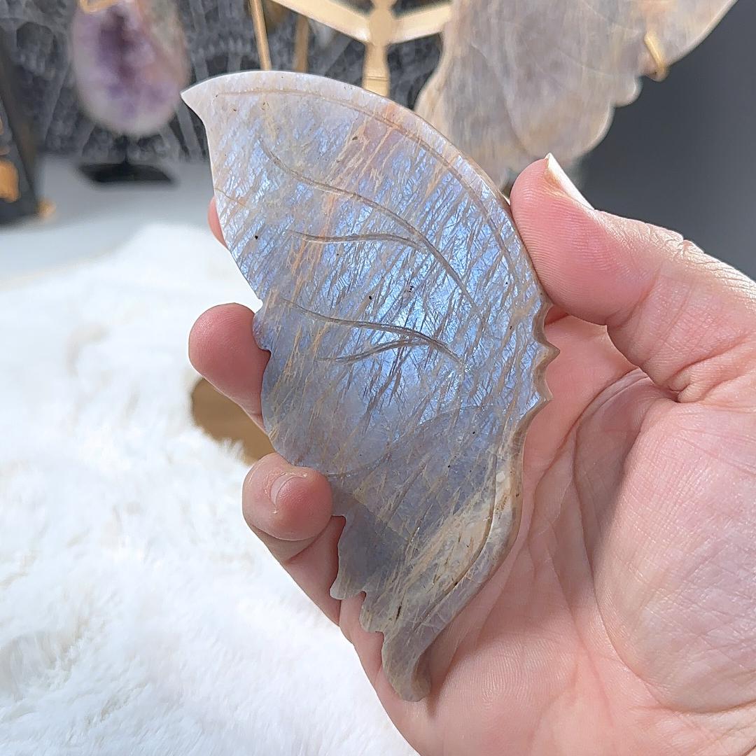 Flashy Blue Moonstone Wings Sunstone | US Seller | Chakra Healing, Reiki Healing Altar Balance Intuition