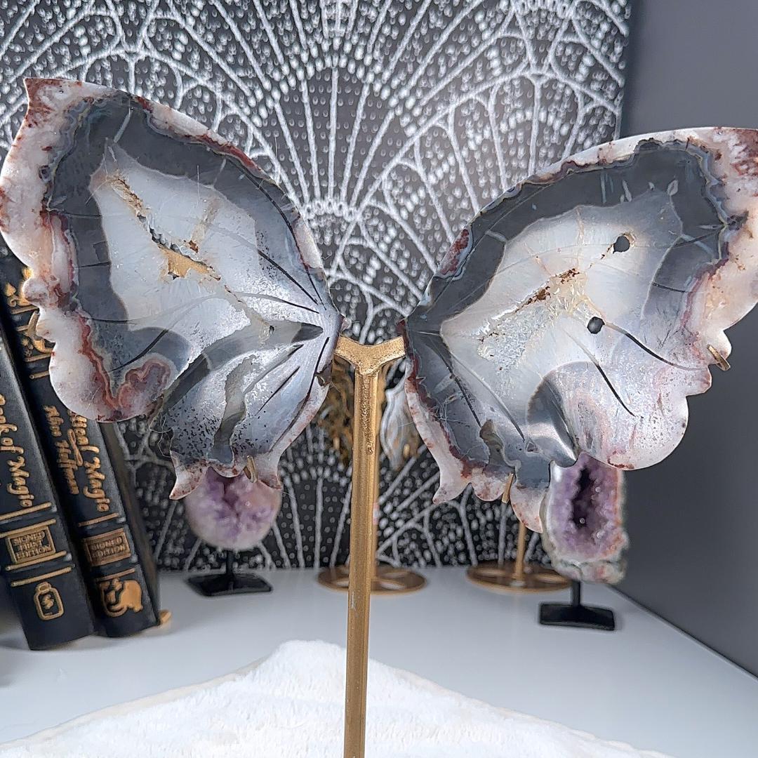 Druzy Black & Red Agate Crystal Wings | Stone Carving Sculpture Healing Altar Reiki Feng Shui Altar