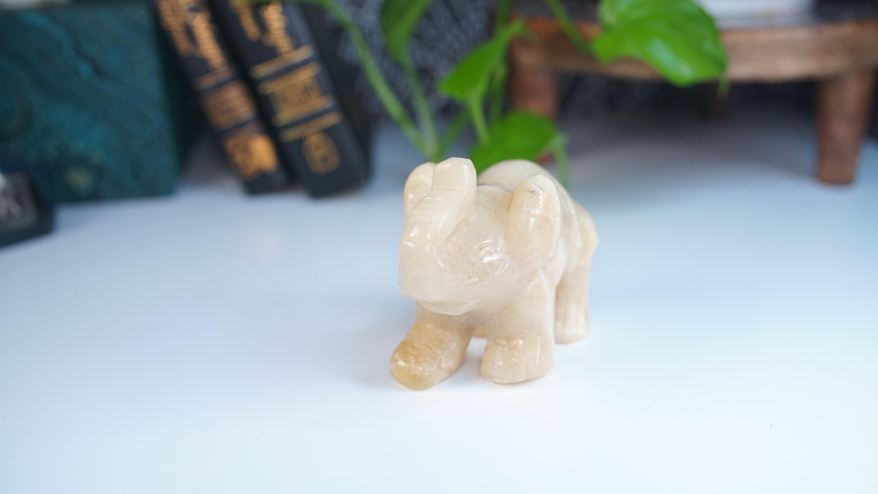 Flashy Blue Moonstone Elephant Sunstone | US Seller | Chakra Healing, Reiki Healing Altar Balance Intuition