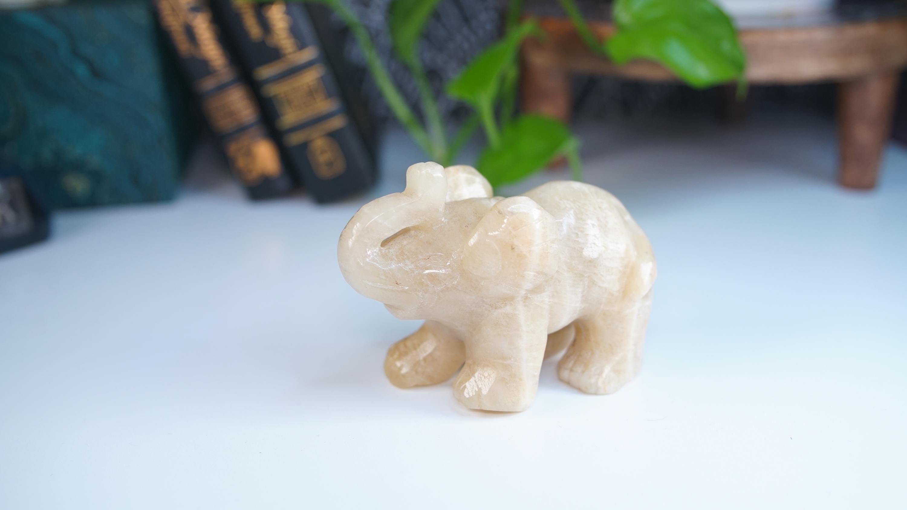 Flashy Blue Moonstone Elephant Sunstone | US Seller | Chakra Healing, Reiki Healing Altar Balance Intuition