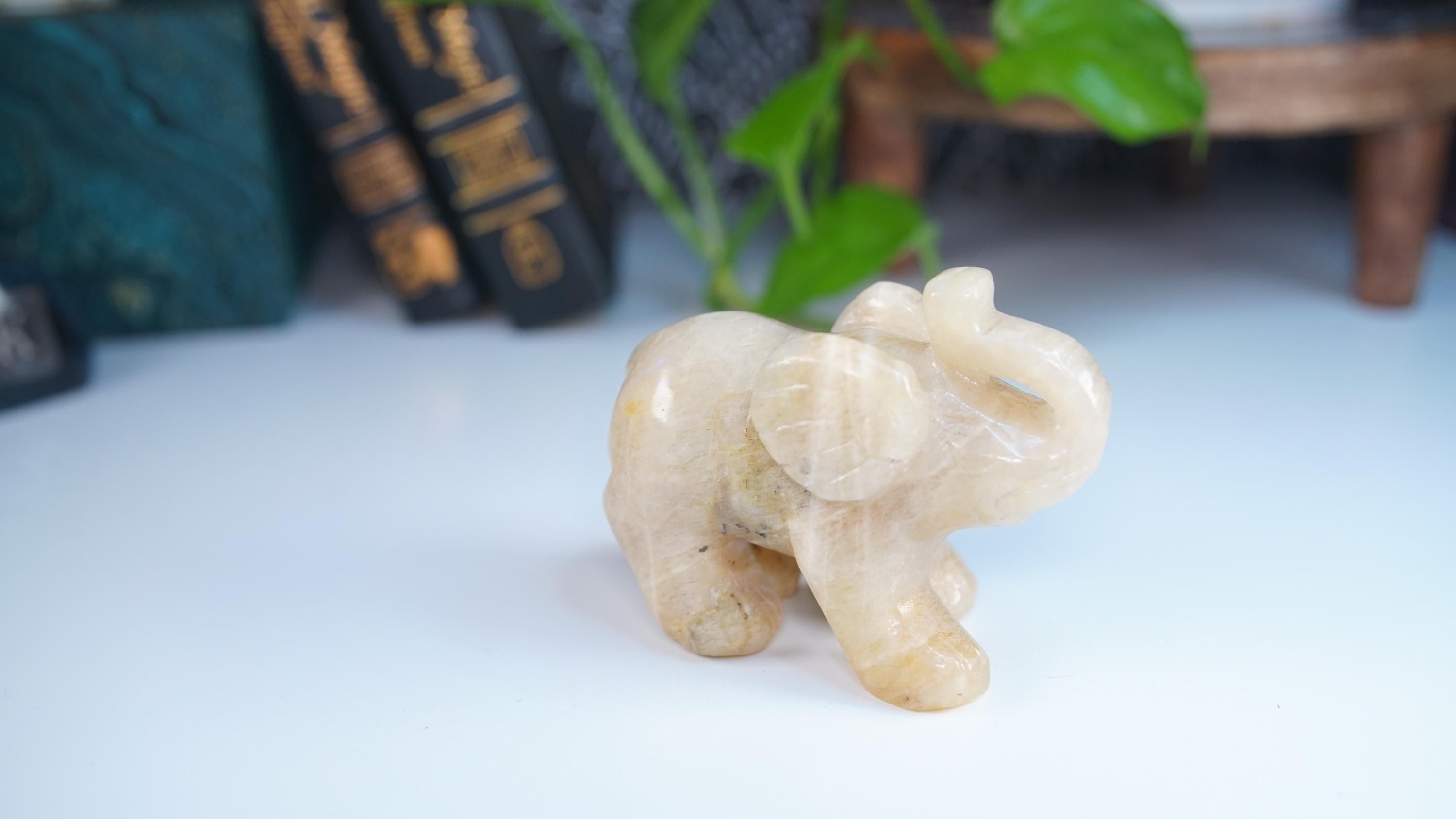 Flashy Blue Moonstone Elephant Sunstone | US Seller | Chakra Healing, Reiki Healing Altar Balance Intuition