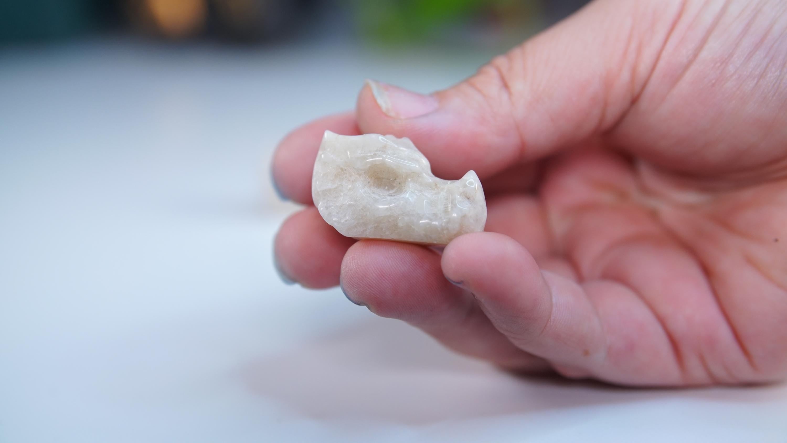 MINI Moonstone Dragon Head | US Seller | Chakra Healing, Reiki Healing Altar Balance Intuition