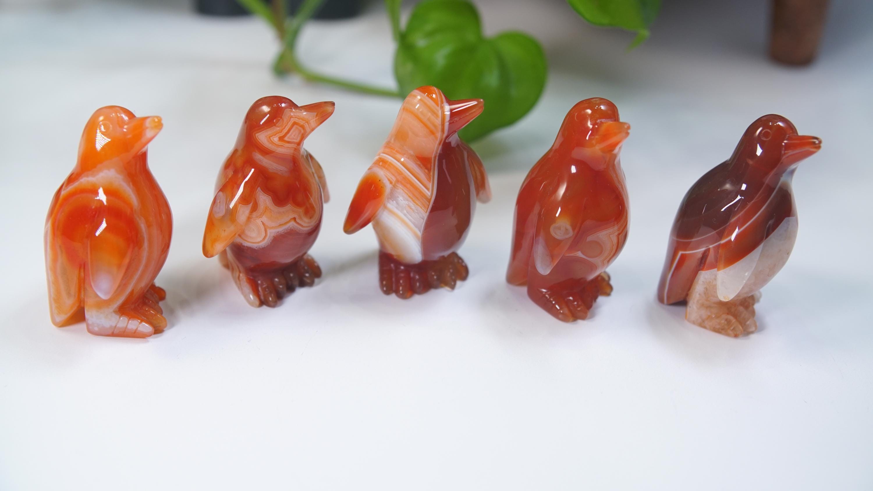 Carnelian Penguin Boutique Carvings | High Quality | US Seller