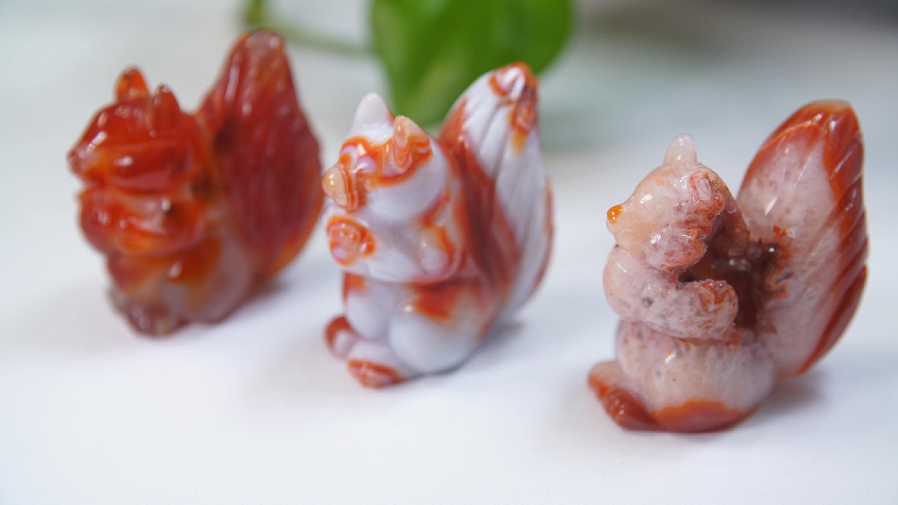 Druzy Carnelian Squirrel Boutique Carvings | High Quality | US Seller