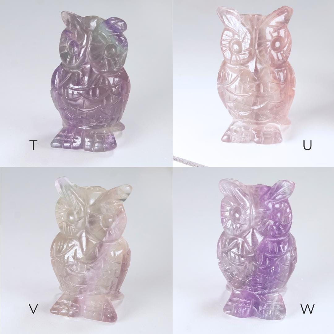 MINI Rainbow Fluorite Owl Carving | Pick Your Favorite