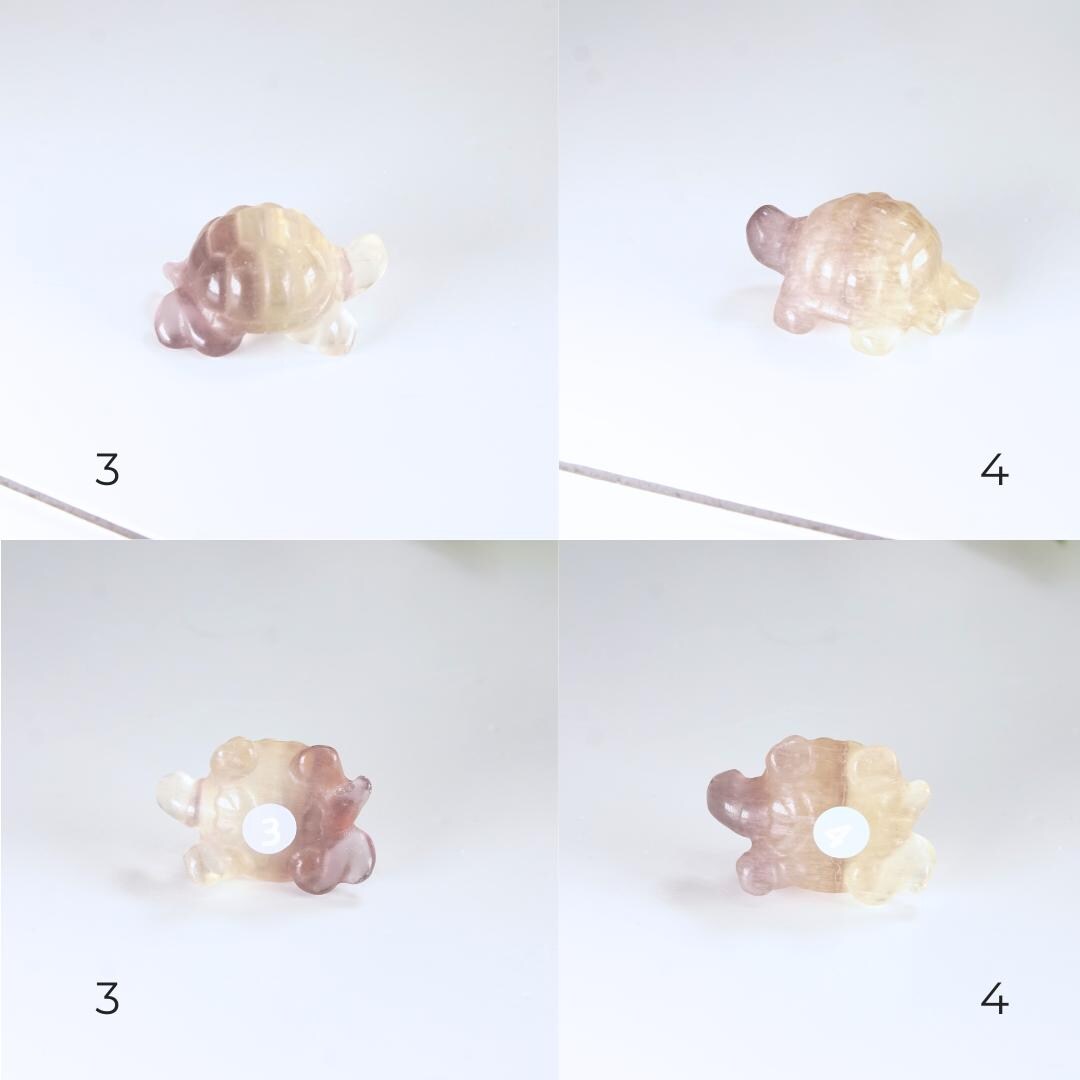 MINI Rainbow Fluorite Turtle Carving | Pick Your Favorite