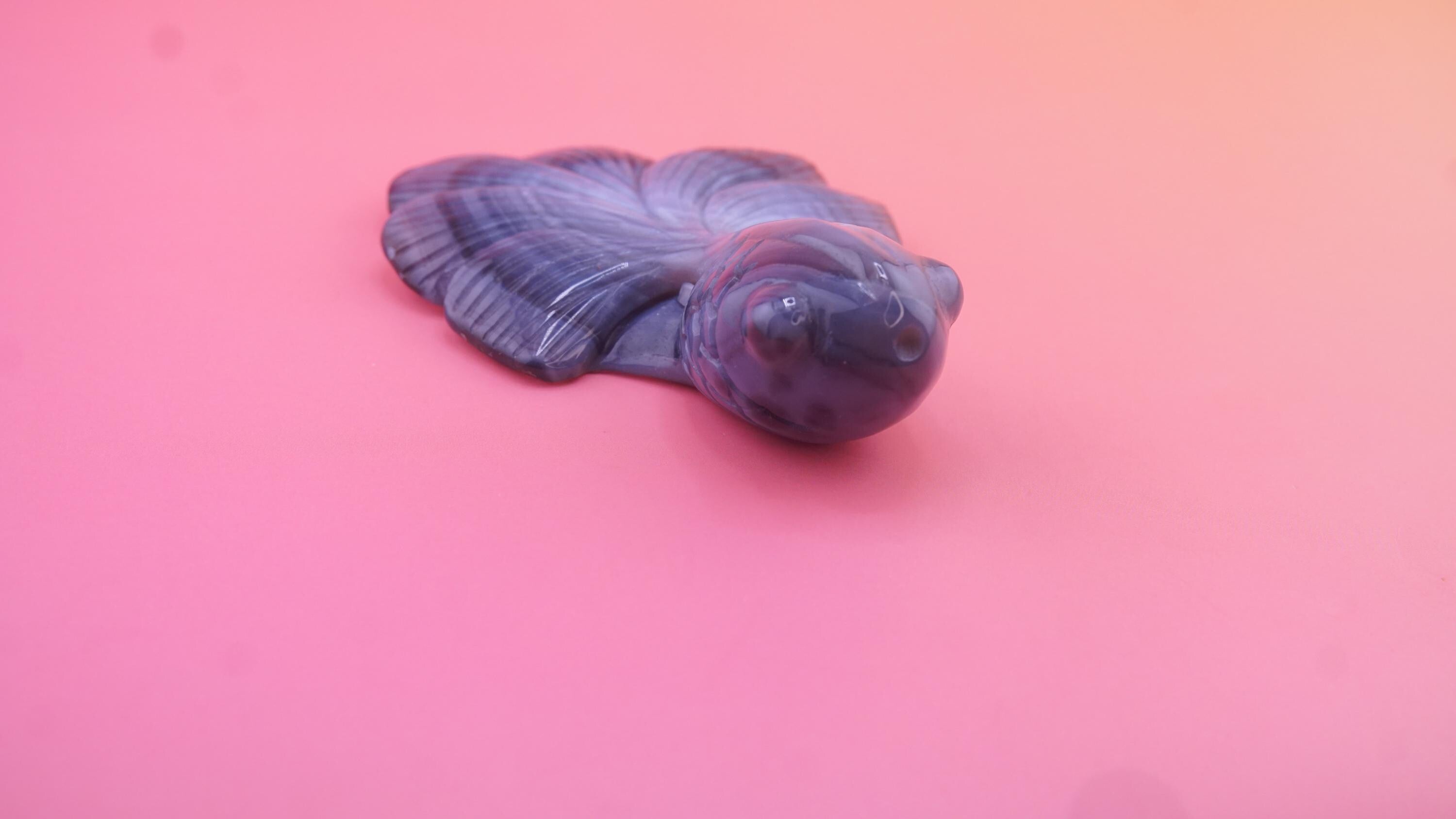 Hand Carved Banded Agate Fish | Boutique Quality Carving | Crystal Decor