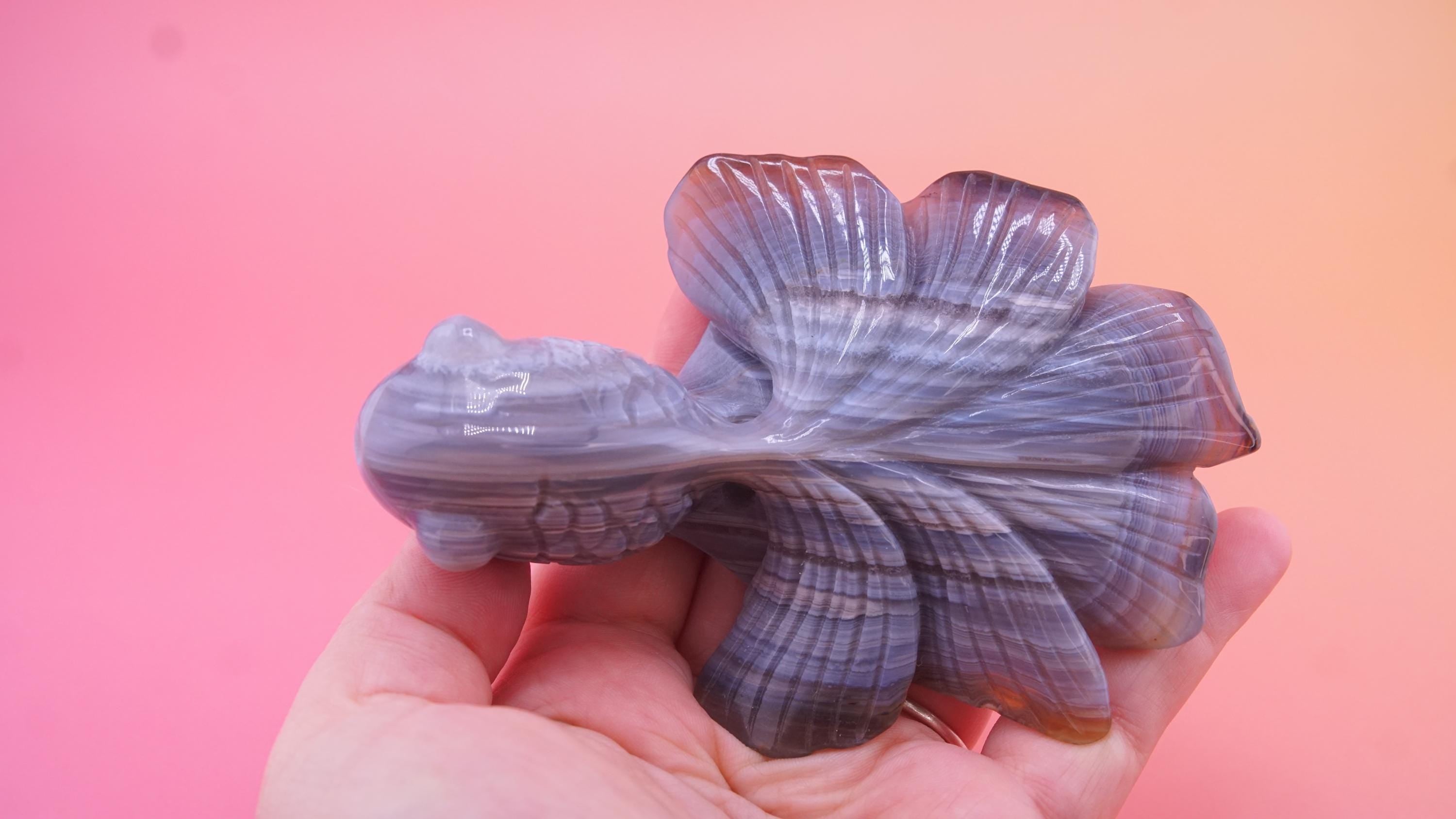 Hand Carved Banded Agate Fish | Boutique Quality Carving | Crystal Decor