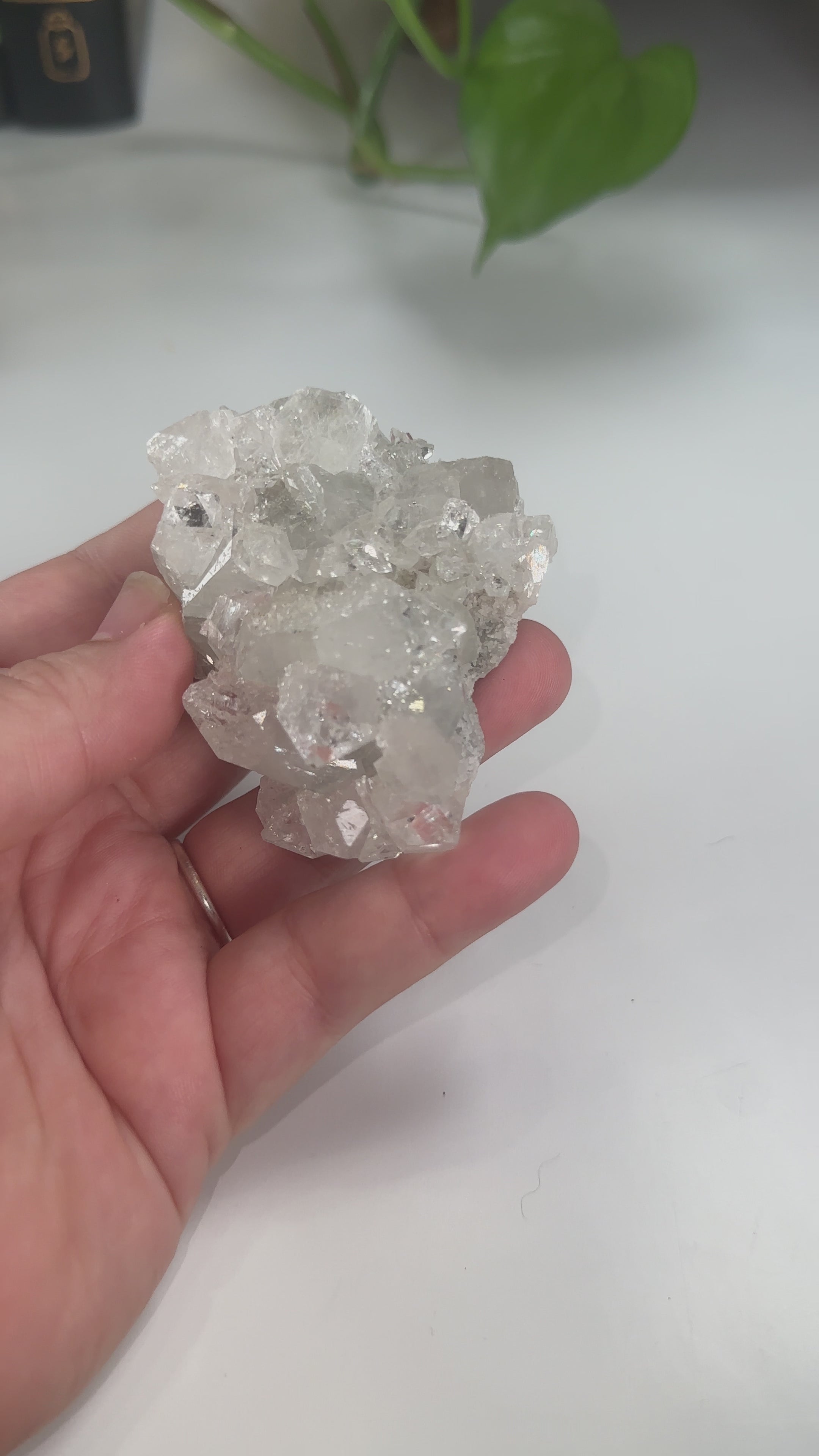 Diamond Apophyllite Cluster | High Quality Diamond Apophyllite | US Seller