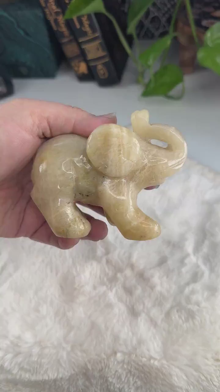 Flashy Blue Moonstone Elephant Sunstone | US Seller | Chakra Healing, Reiki Healing Altar Balance Intuition