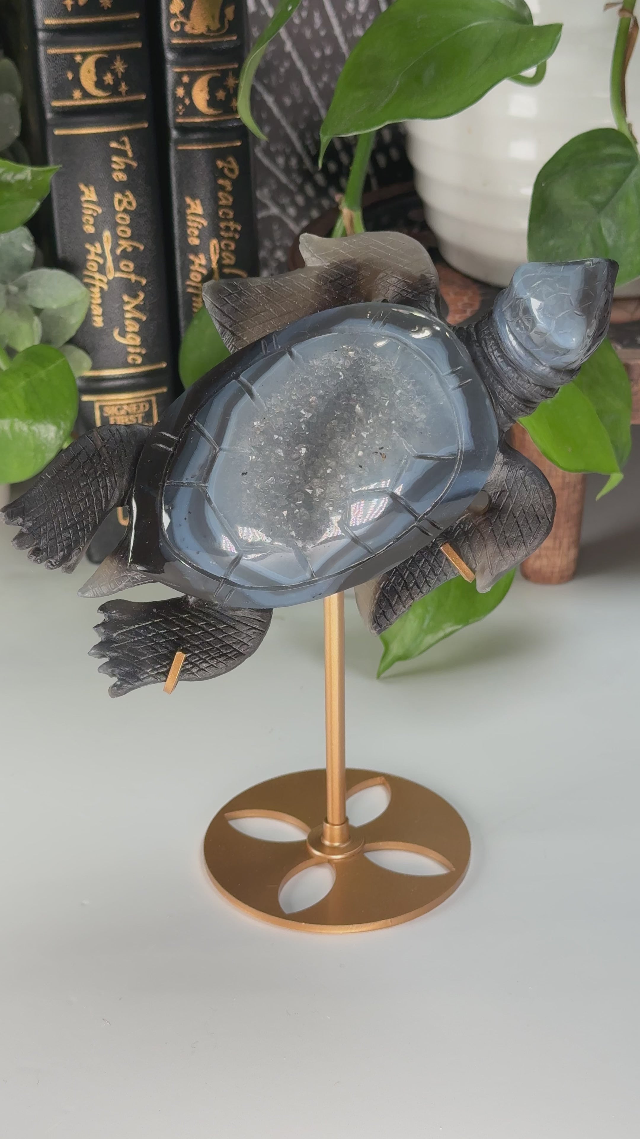 Boutique Carving Druzy Agate Sea Turtle With Stand