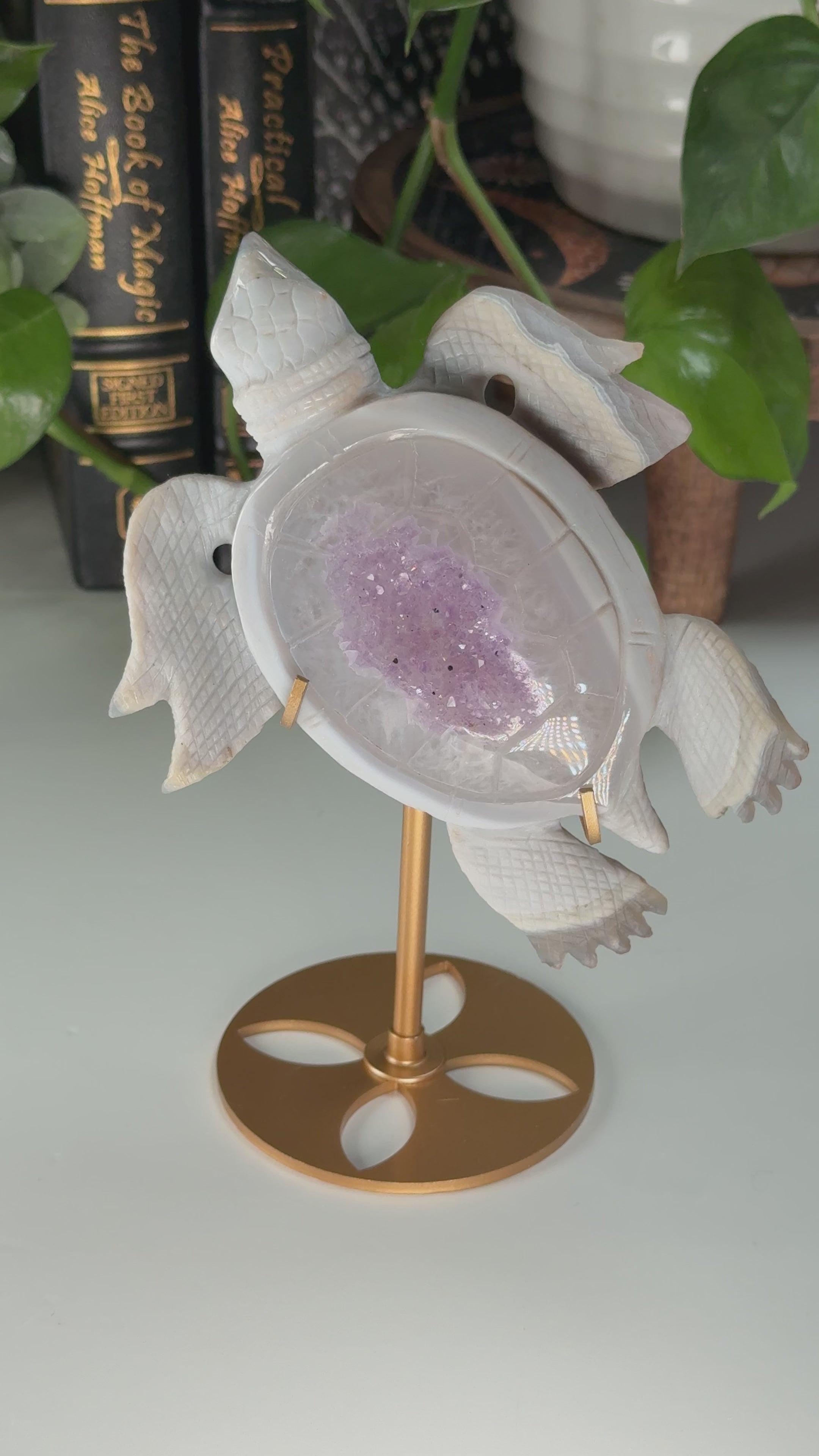 Boutique Carving Amethyst Agate Sea Turtle With Stand