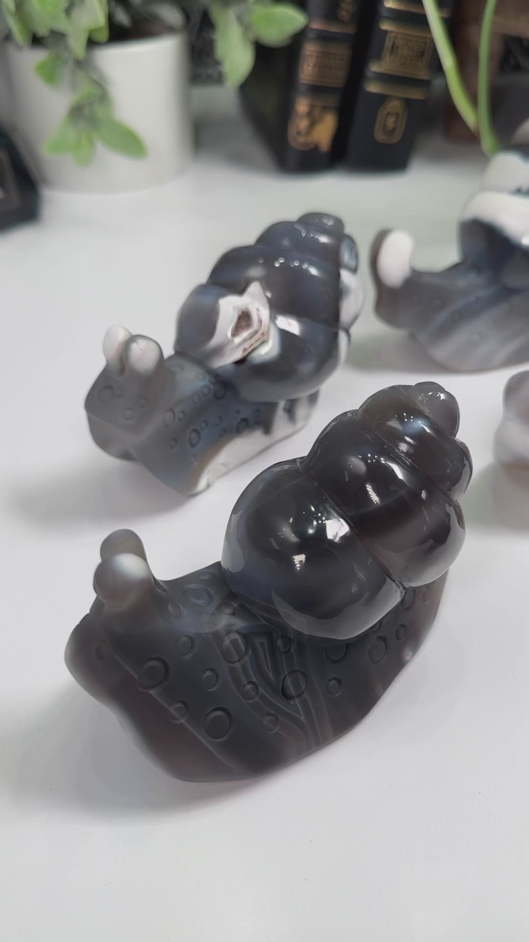 Orca Agate Snails Boutique Carvings