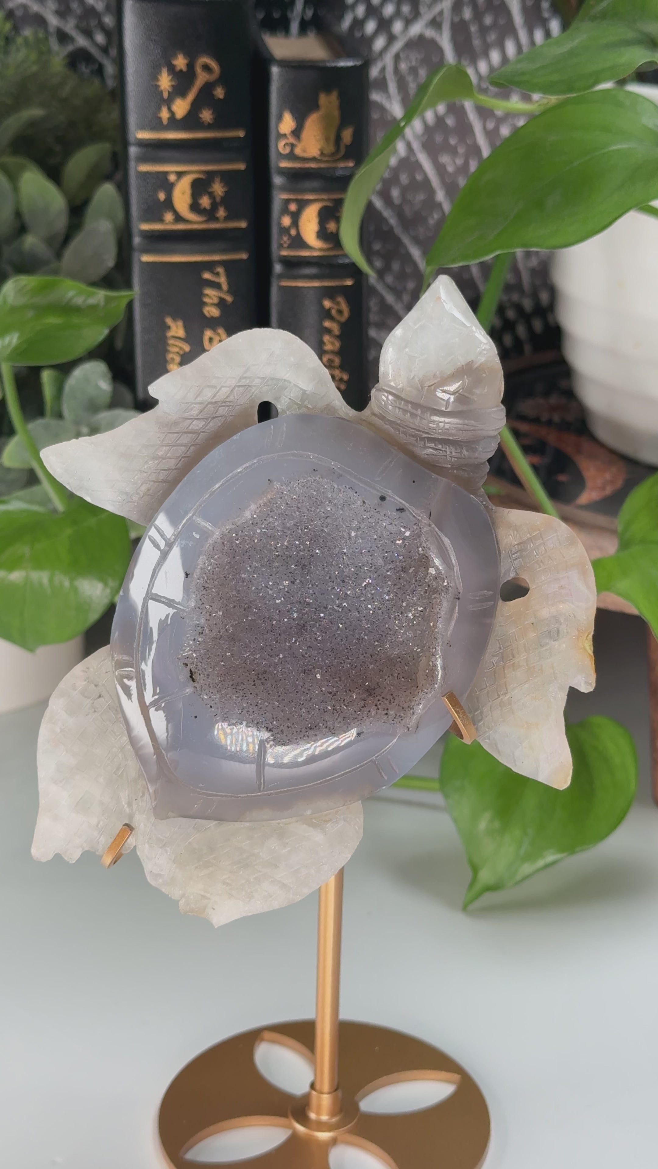 Boutique Carving Druzy Agate Sea Turtle With Stand