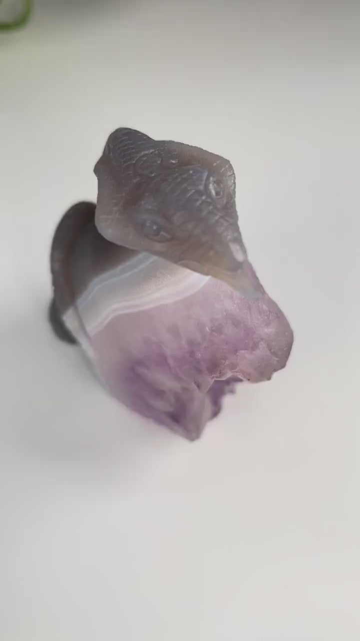 Druzy Agate Amethyst Snake Crystal Carving Geode Statement Piece