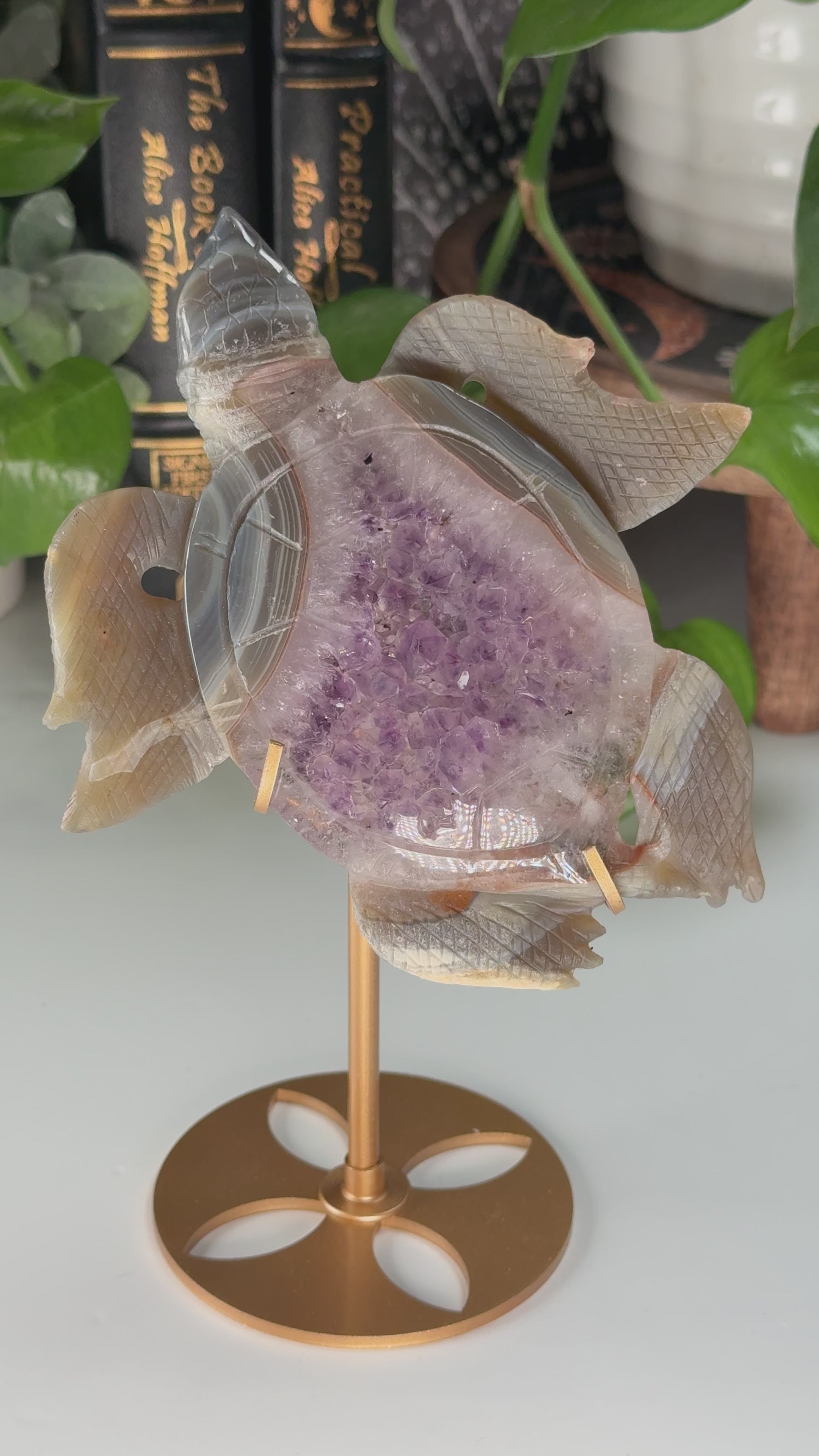 Boutique Carving Amethyst Agate Sea Turtle With Stand
