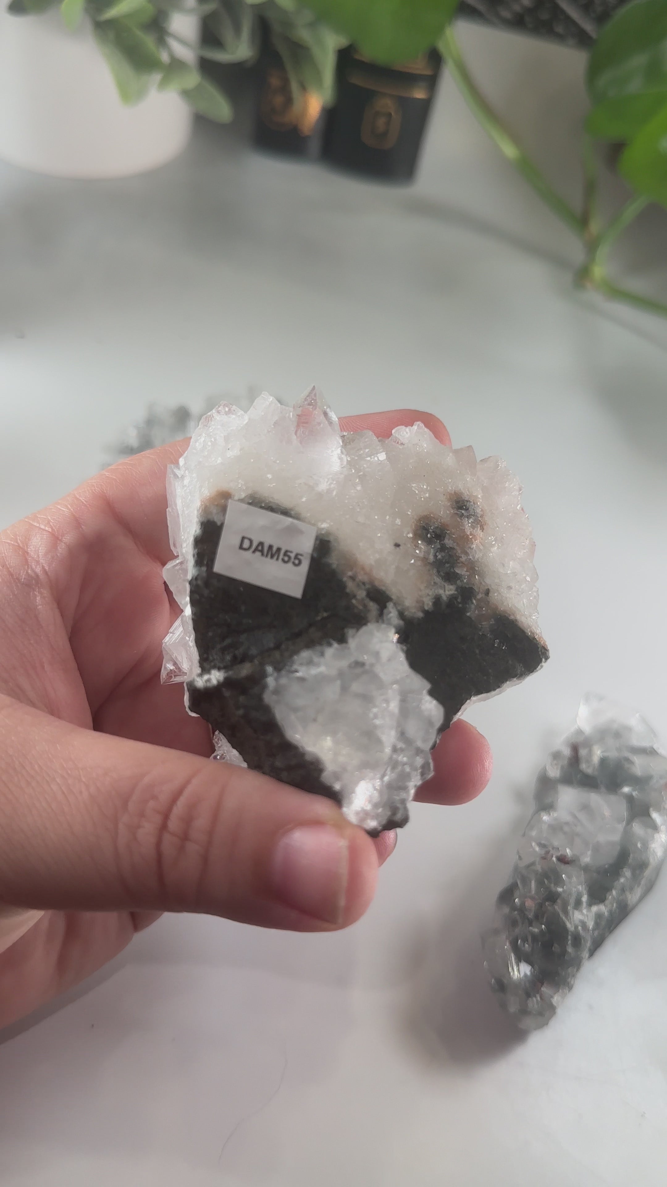 Diamond Apophyllite Cluster | High Quality Diamond Apophyllite | US Seller