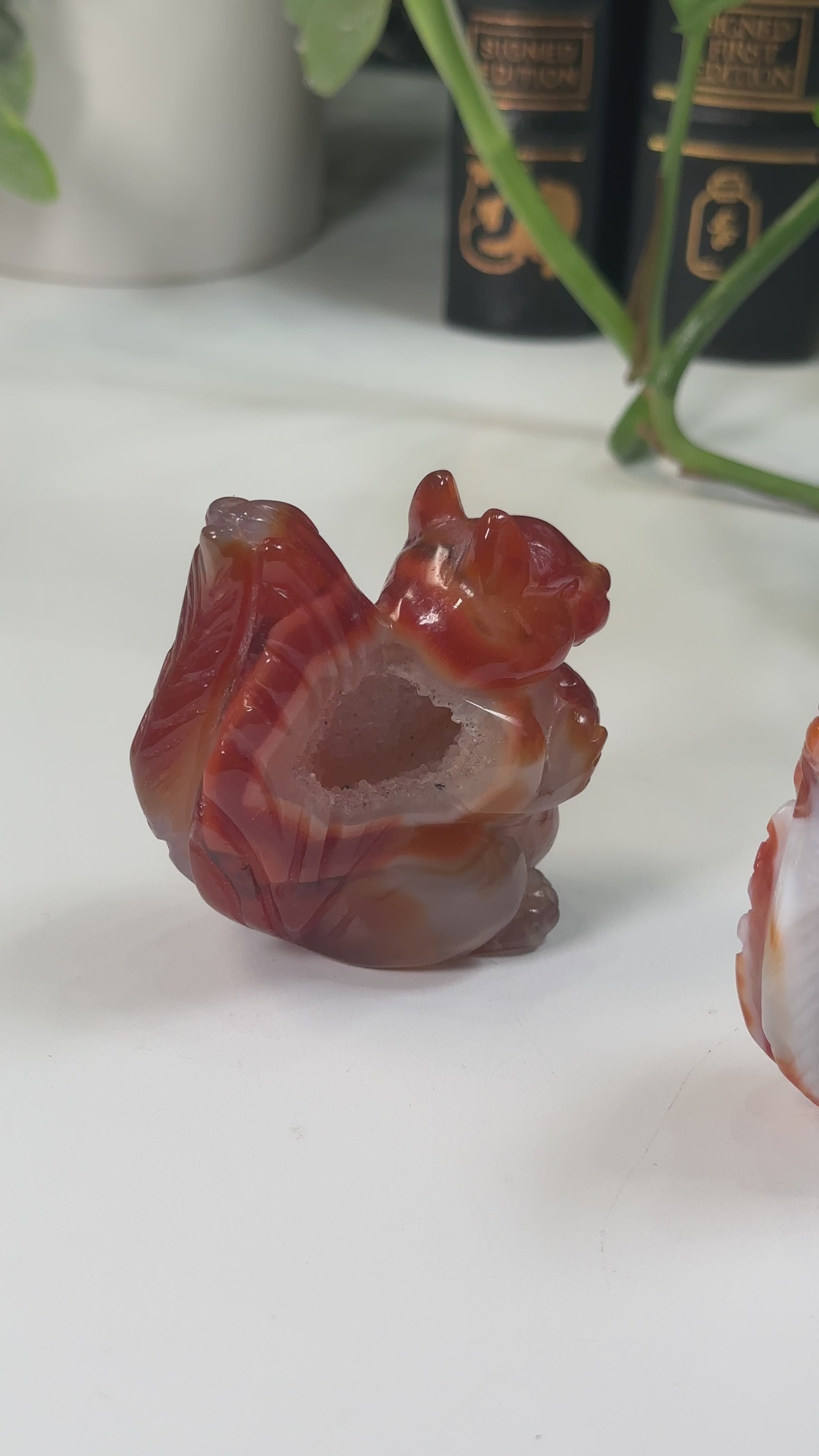 Druzy Carnelian Squirrel Boutique Carvings