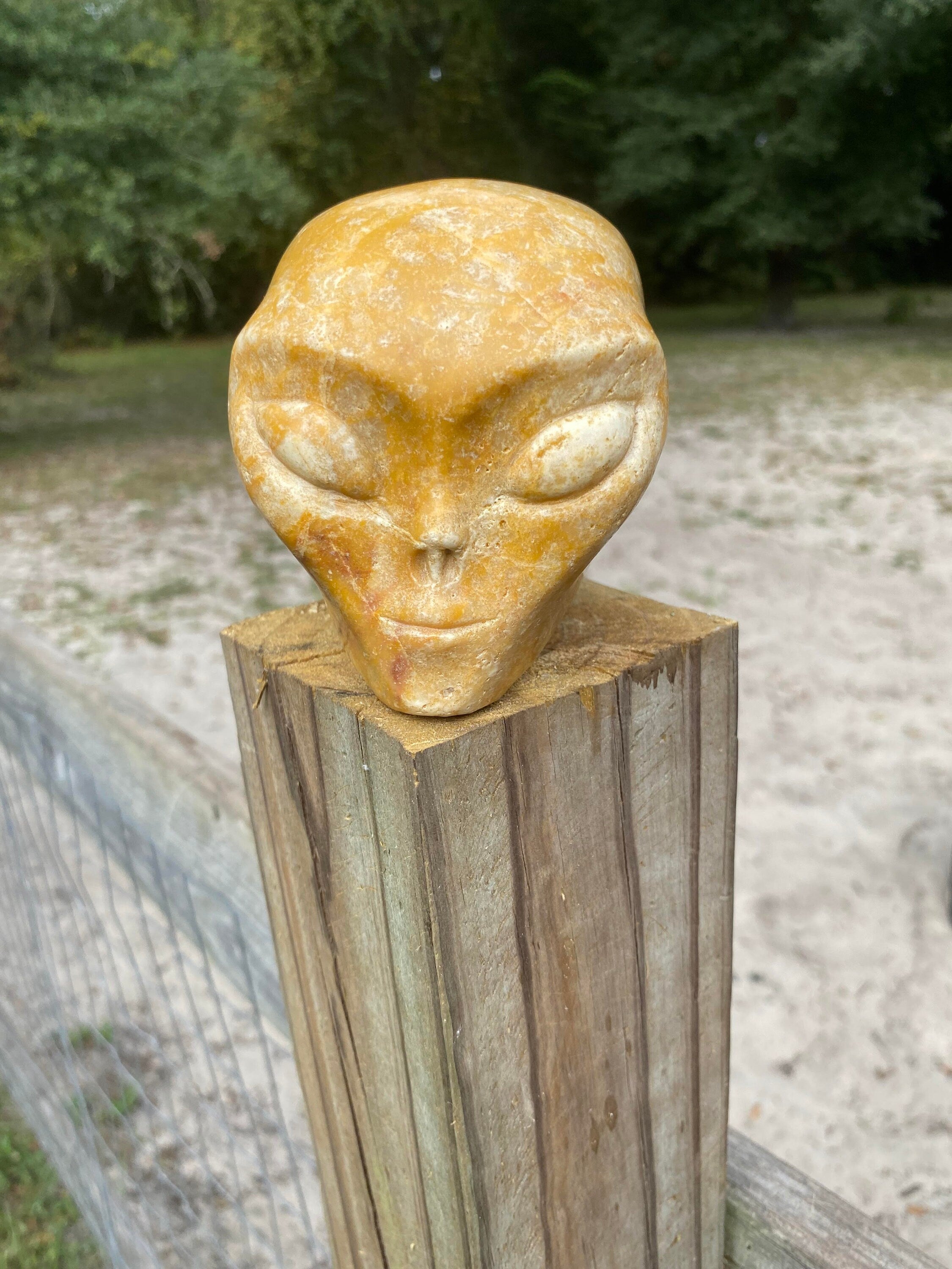 front photo of alien crystal skull