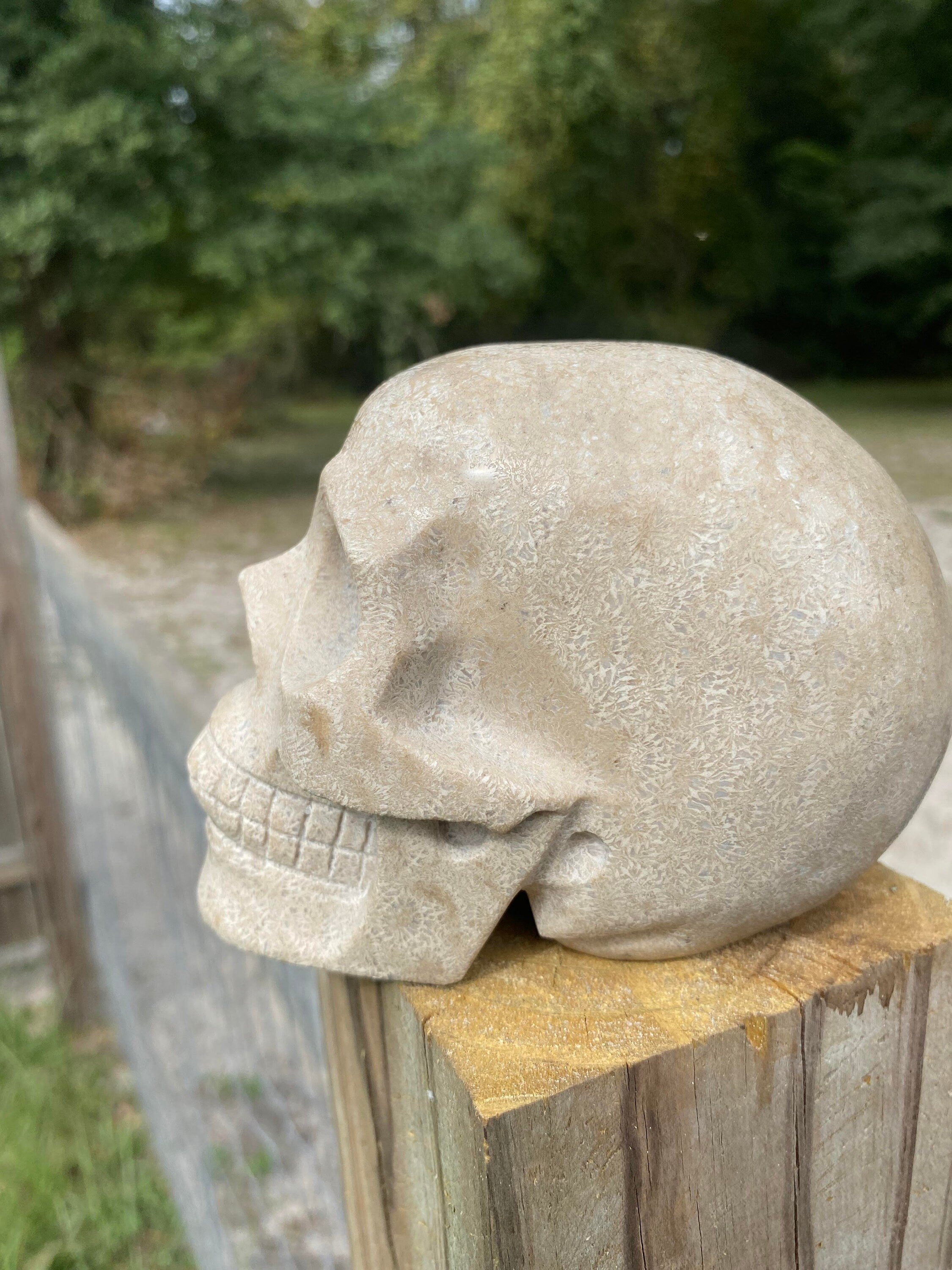 human skull carving side white