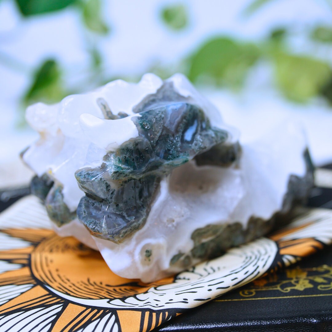 Moss Agate Dragon Head Healing Crystal Druzy Moss Agate Carving Stone Statue Energy Goddess Body Energy Reiki Altar