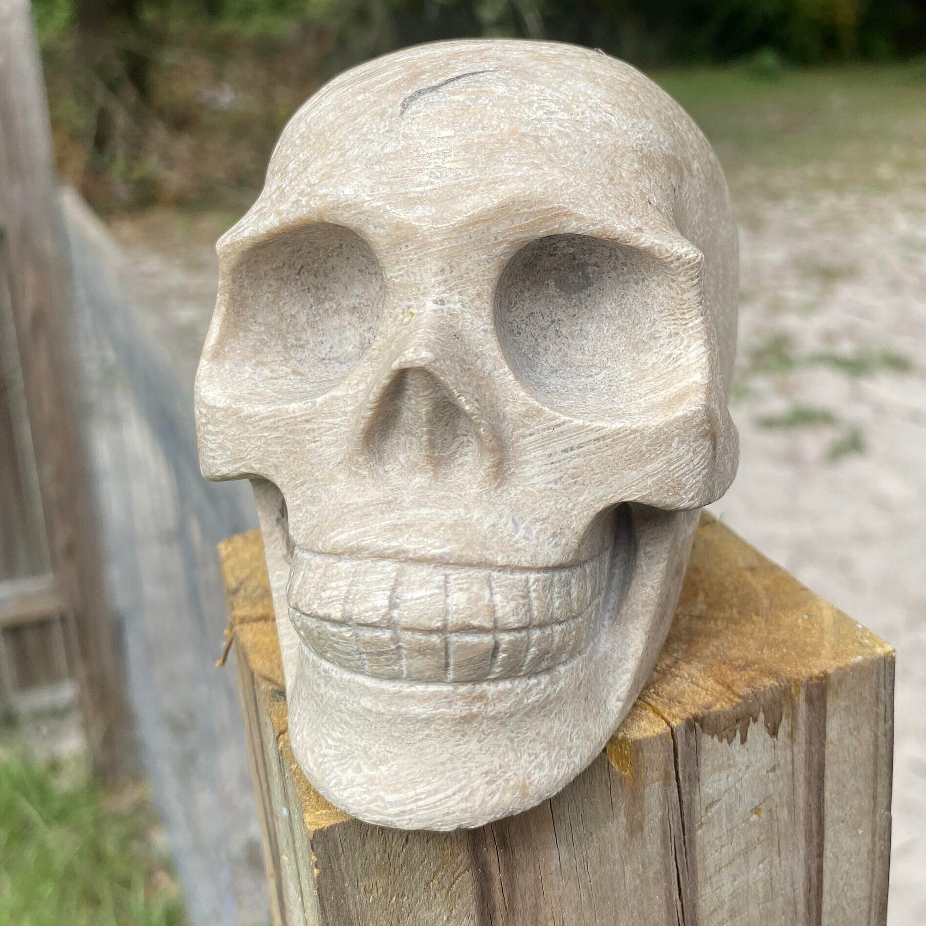 Front crystal skull human