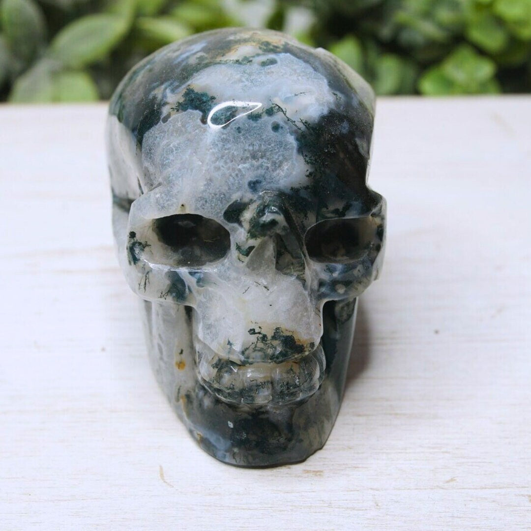 Moss Agate Skull Healing Crystal Druzy Moss Agate Carving Stone Statue Energy Goddess Body Energy Reiki Altar