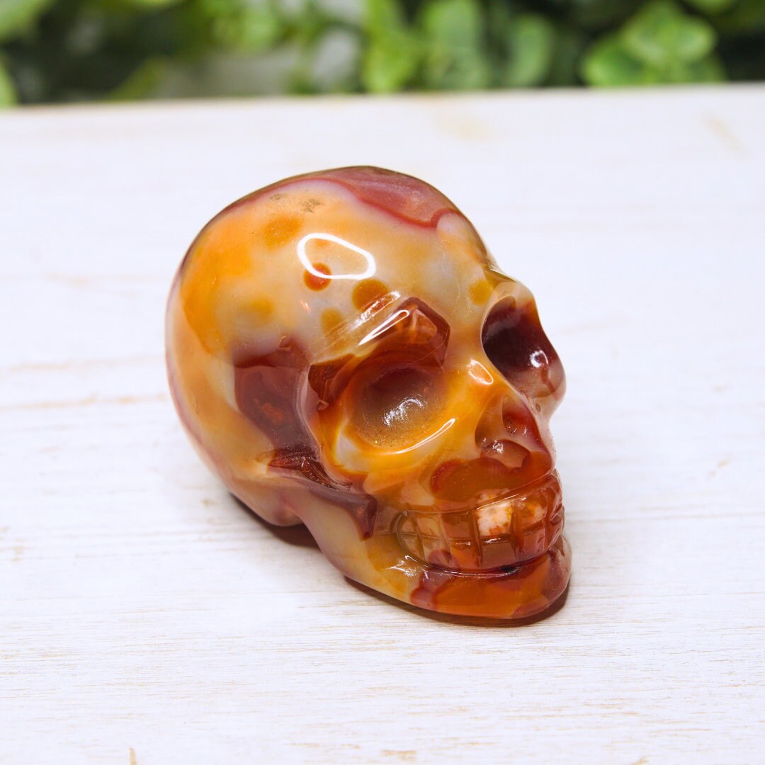 Red Carnelian Flower Druzy Agate Skull Statue Carving Reiki Chakra Energy Feng Shui Healing