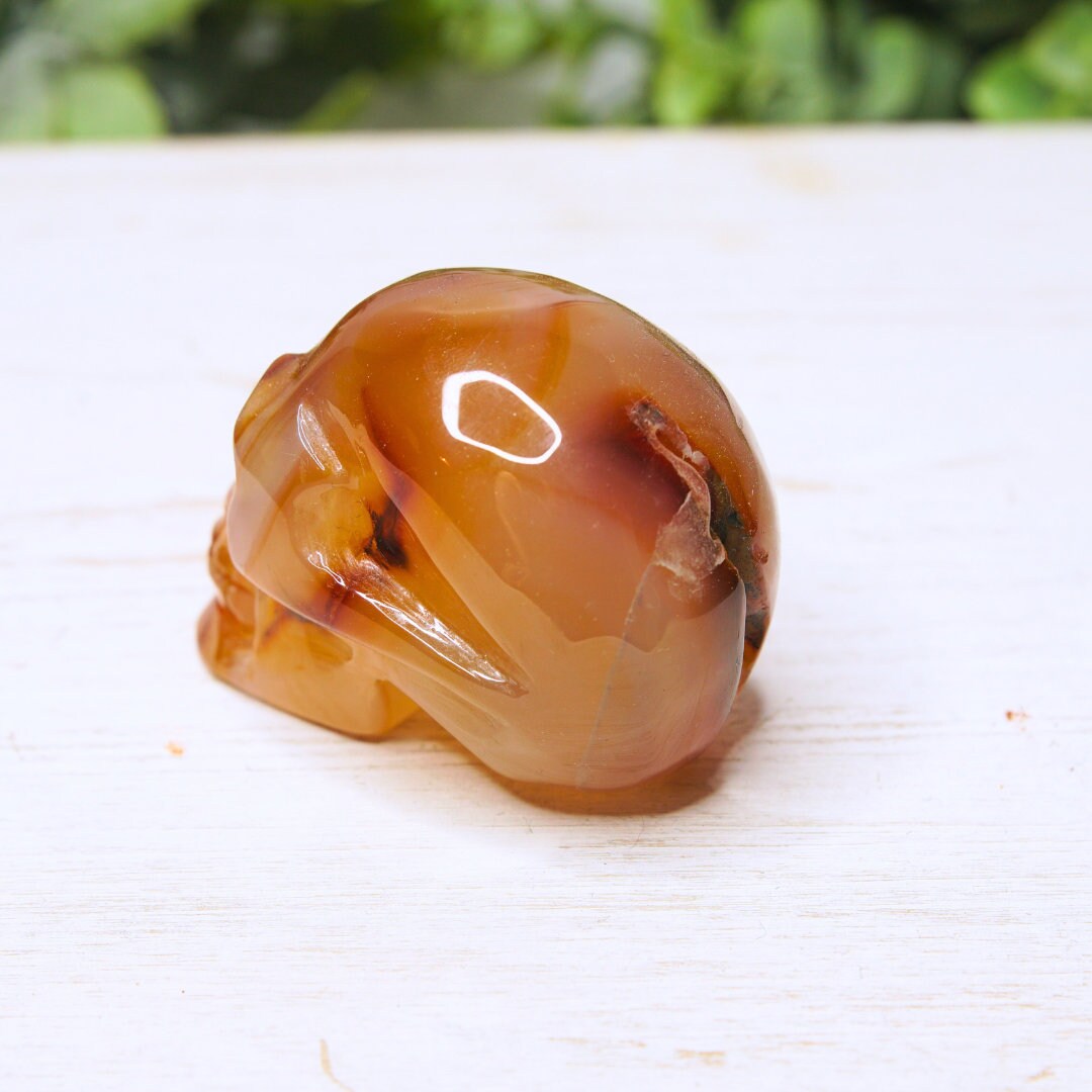 Agate Red Carnelian Skull Carving