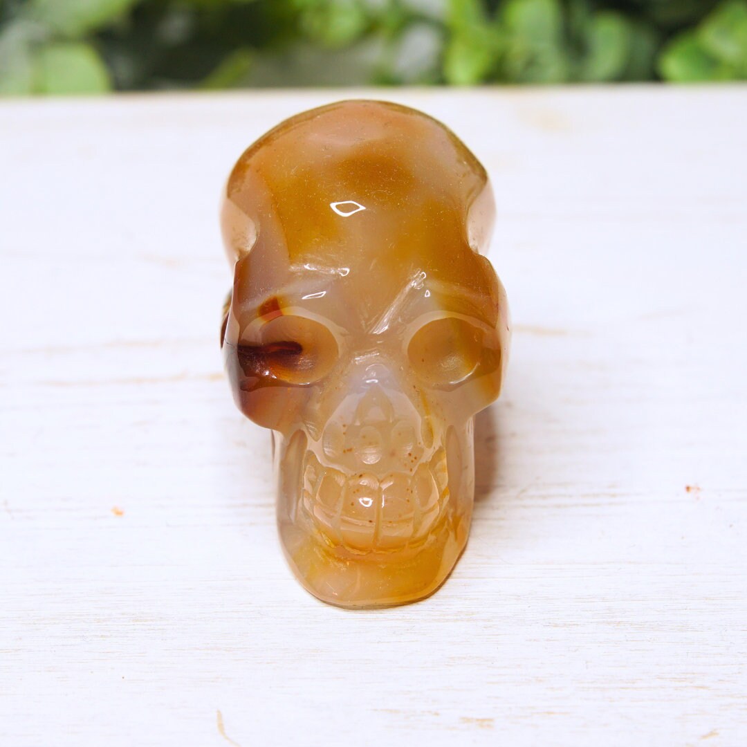 Agate Red Carnelian Crystal Skull Carving Human Sculpture Root, Sacral, Solar Plexus Chakra, Reiki Altar Energy Feng Shui