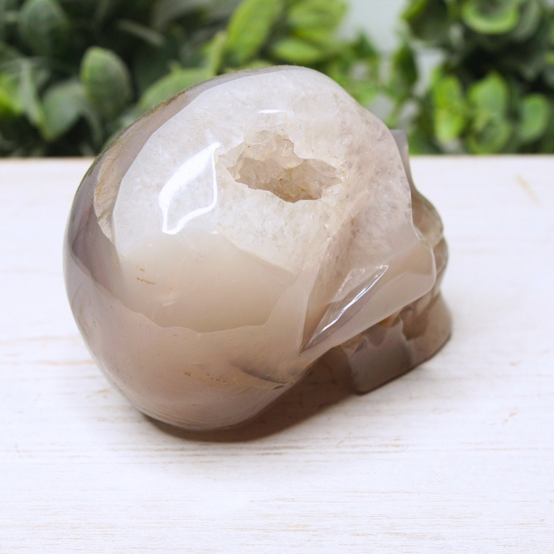Druzy Agate Skull Large Teeth