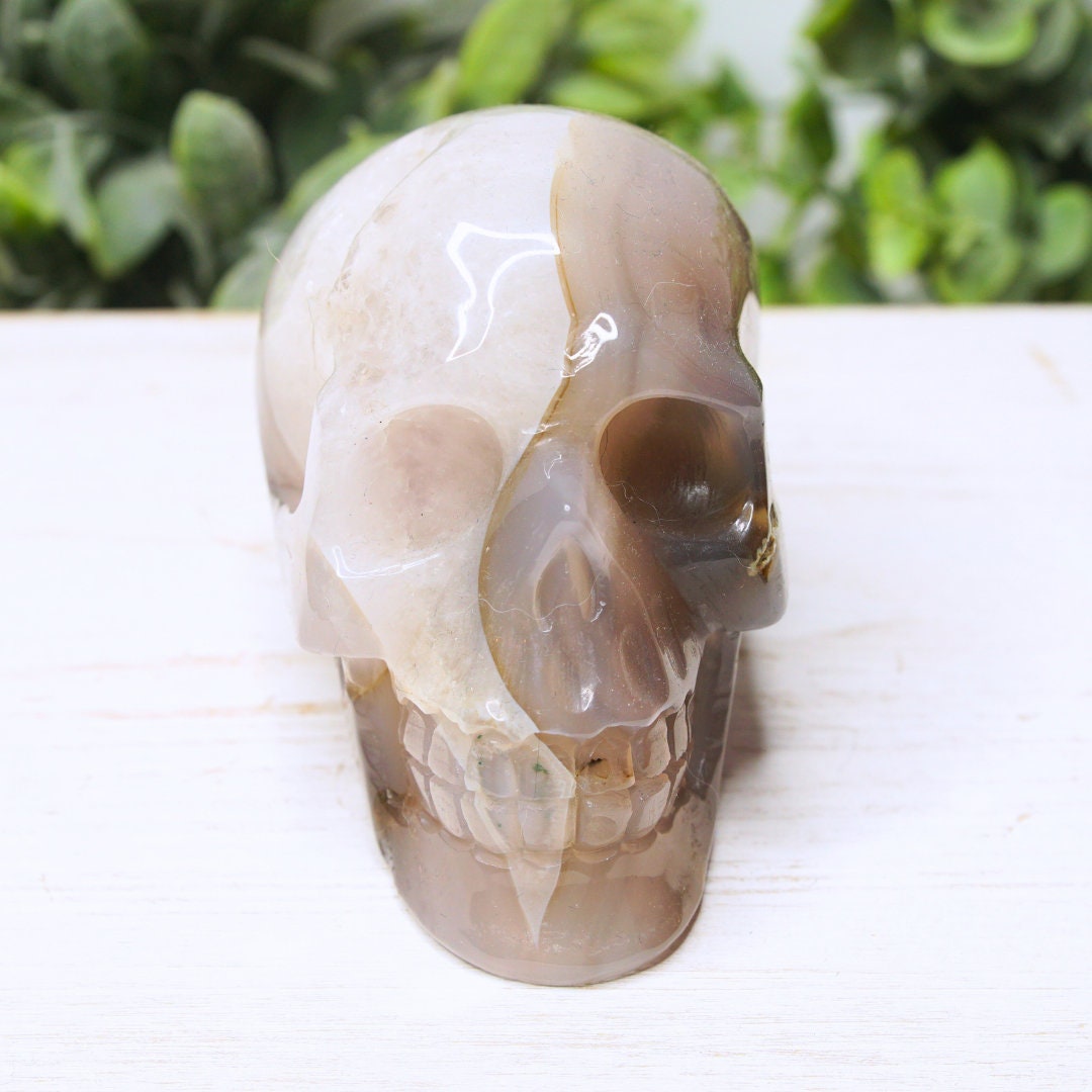 Druzy Agate Skull Large Teeth