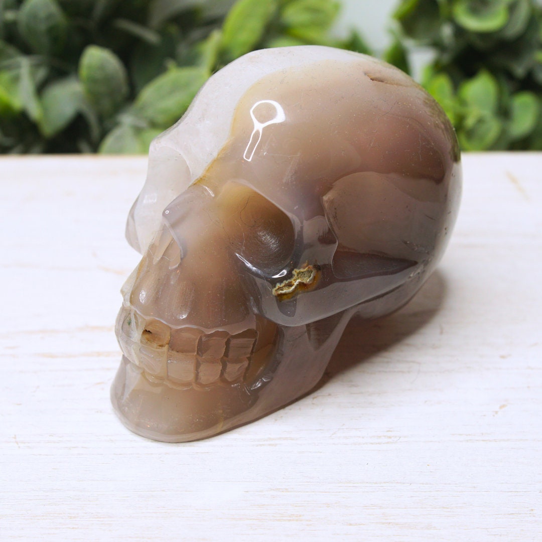 Druzy Agate Skull Large Teeth